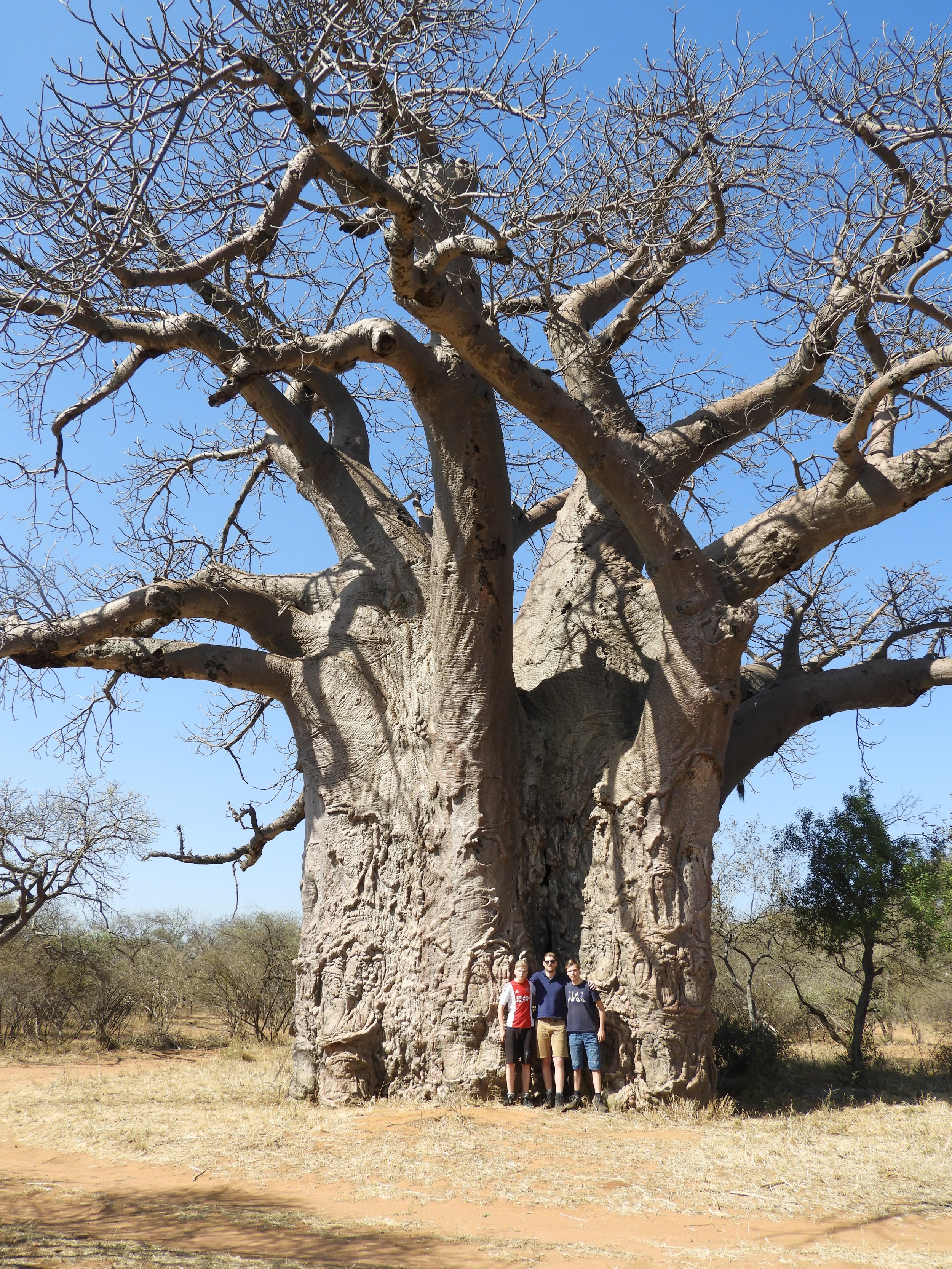 Blouberg nature reserve Limpopo Zuid-Afrika (13).jpeg