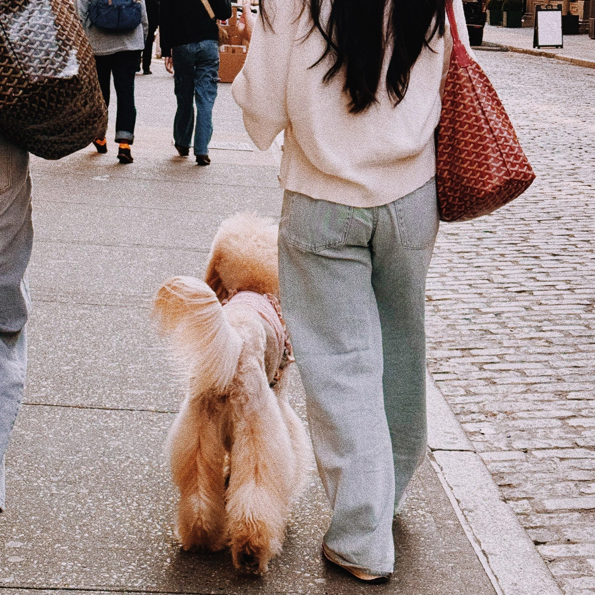 New York Moment • @retailshrink #nyc #goyard #fashion #streetstyle #staples #inspo