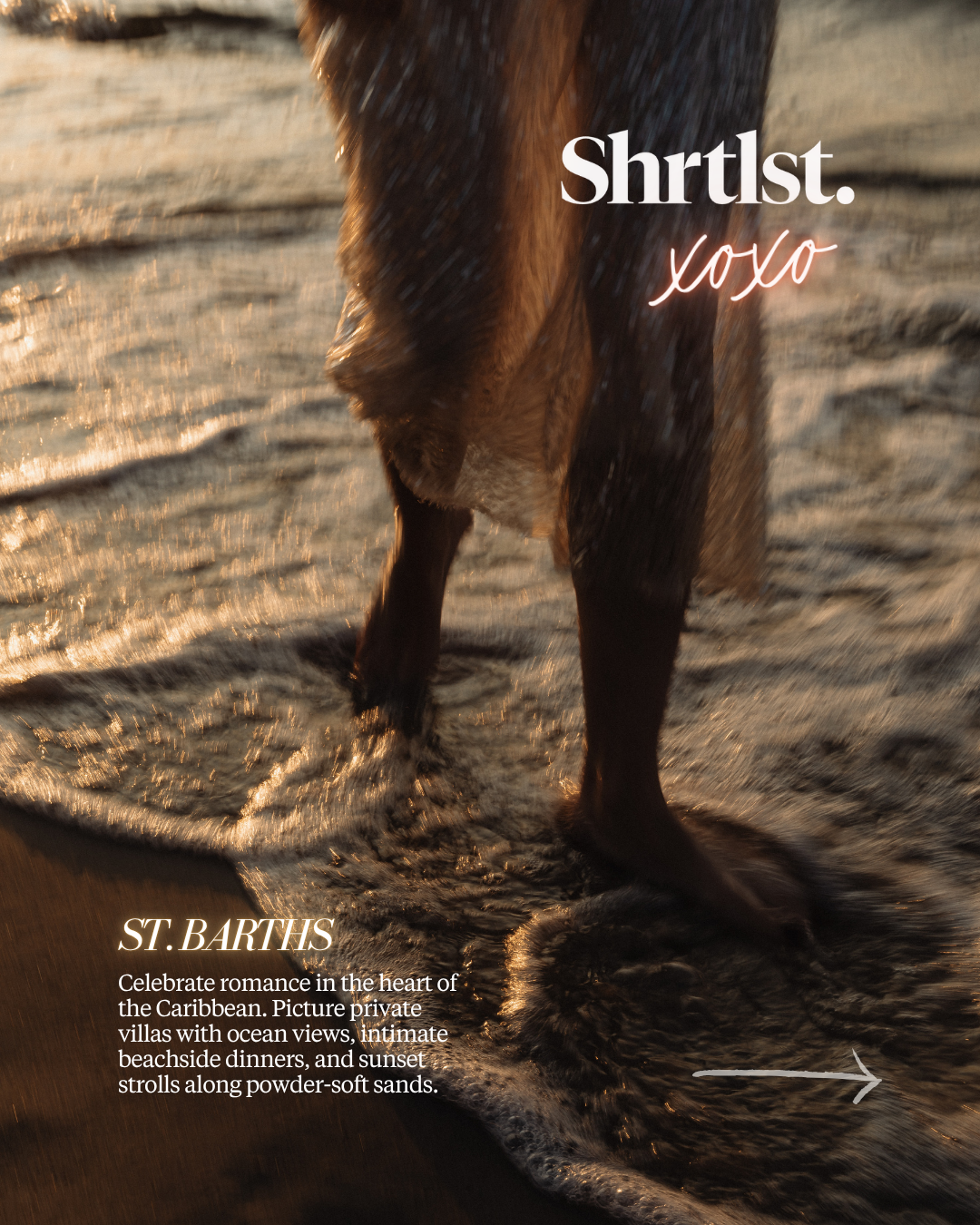 Close-up of horse's legs and hooves walking along wet sand with ocean waves at sunset. Overlaid text promotes St. Barth's vacation experience with ocean views and beachside dinners.