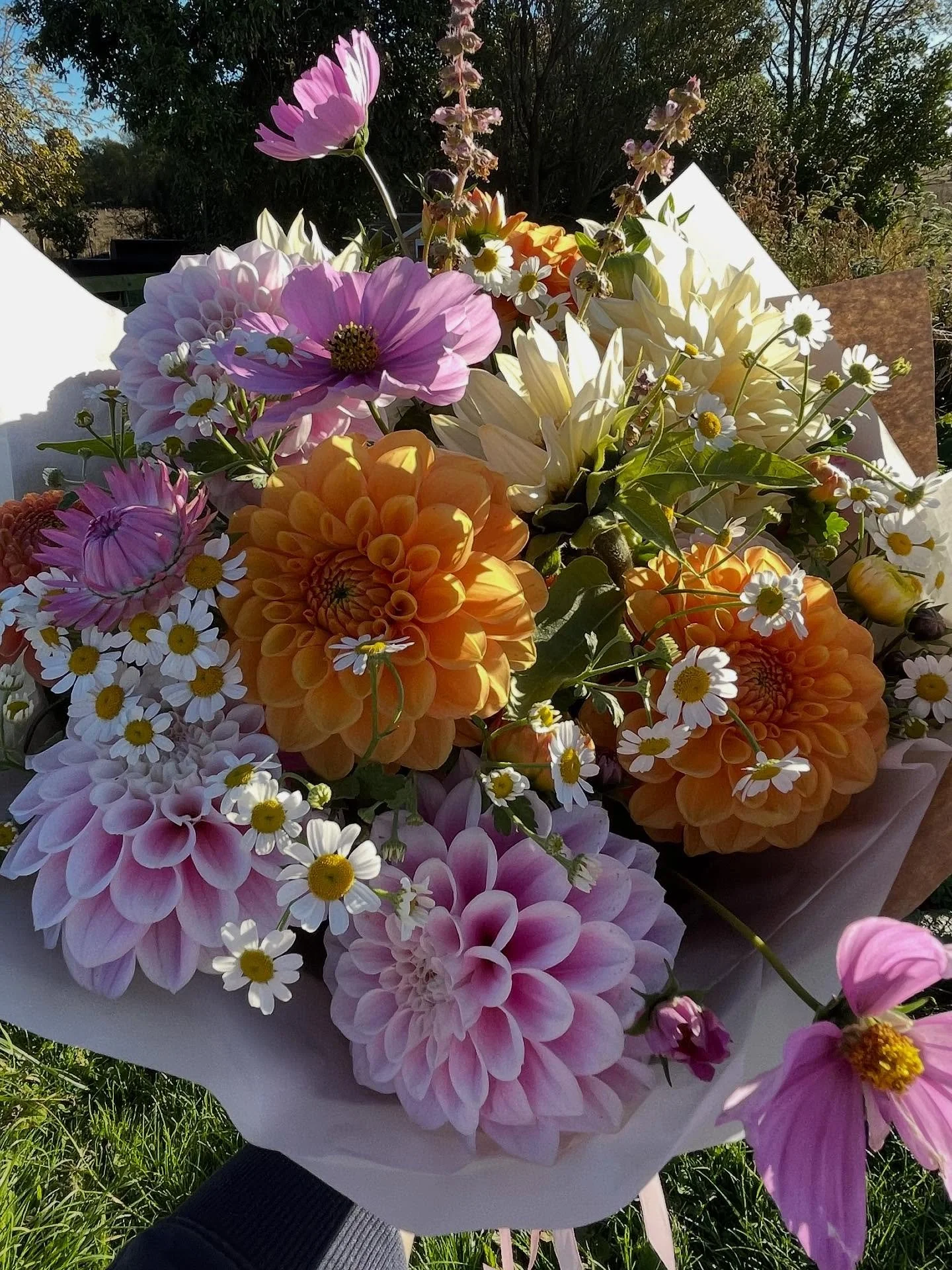 🌸💐Summer flower subscriptions 💐🌸

Treat yourself or someone special to a summer of flowers 💐.

Enjoy fresh, farm grown flowers delivered straight to your door or ready for pick up from our flower stand. Choose from small or large bunches with fo