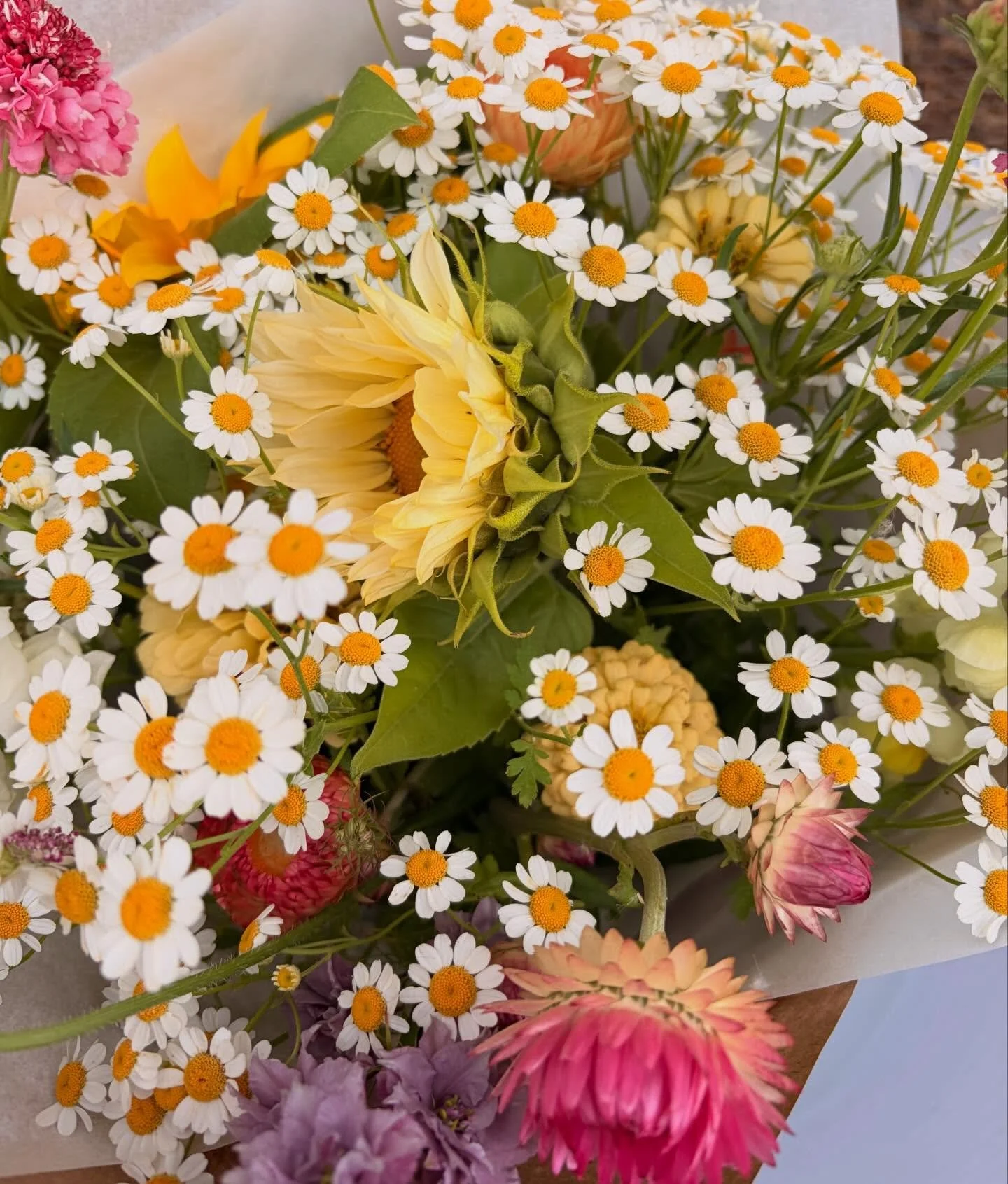 She&rsquo;s a bit rainy today! Lucky I picked some flowers before the rain yesterday so we do have a few bunches in the stand 🌸💐