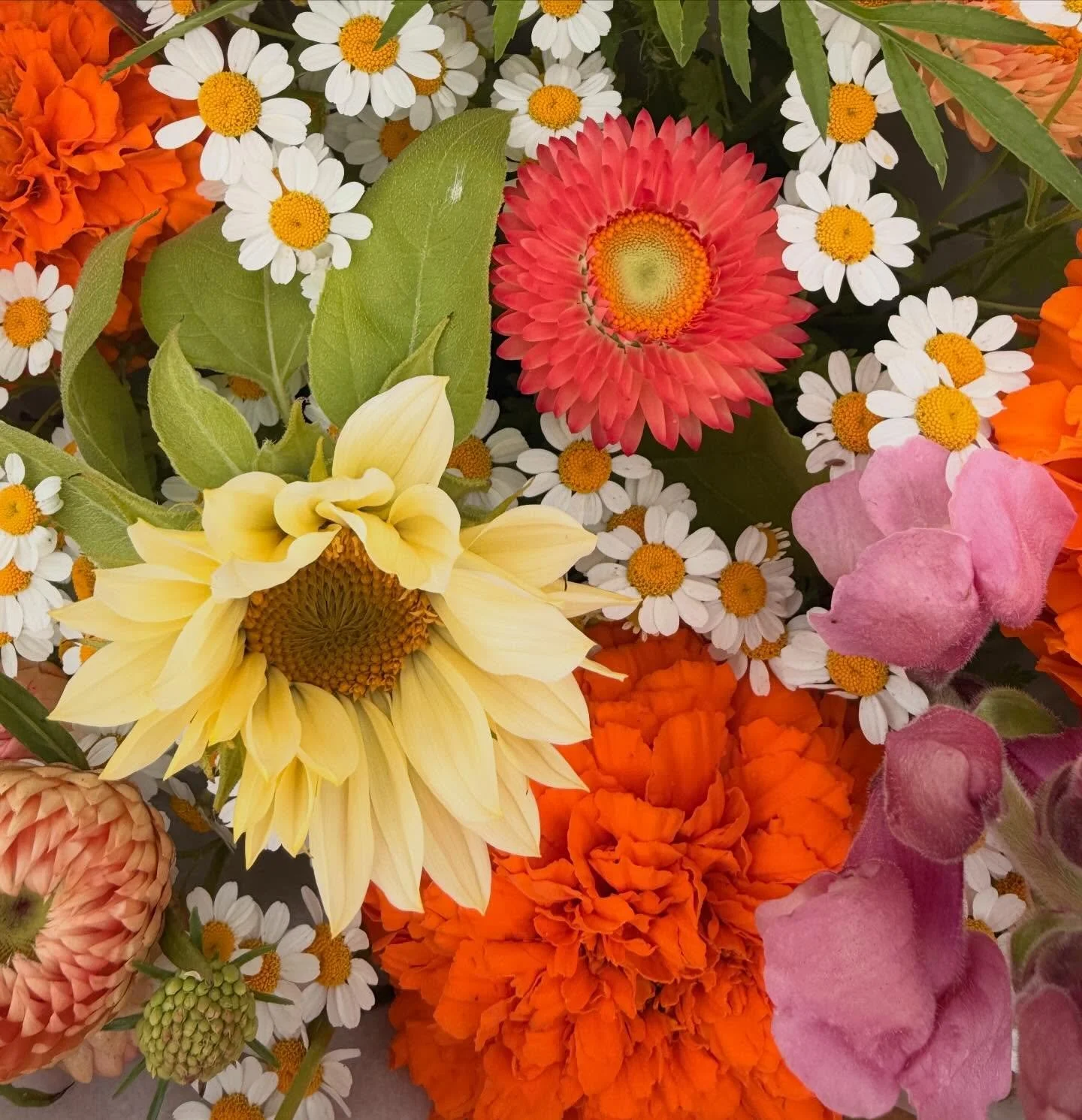 Sunday flowers 🌸💐