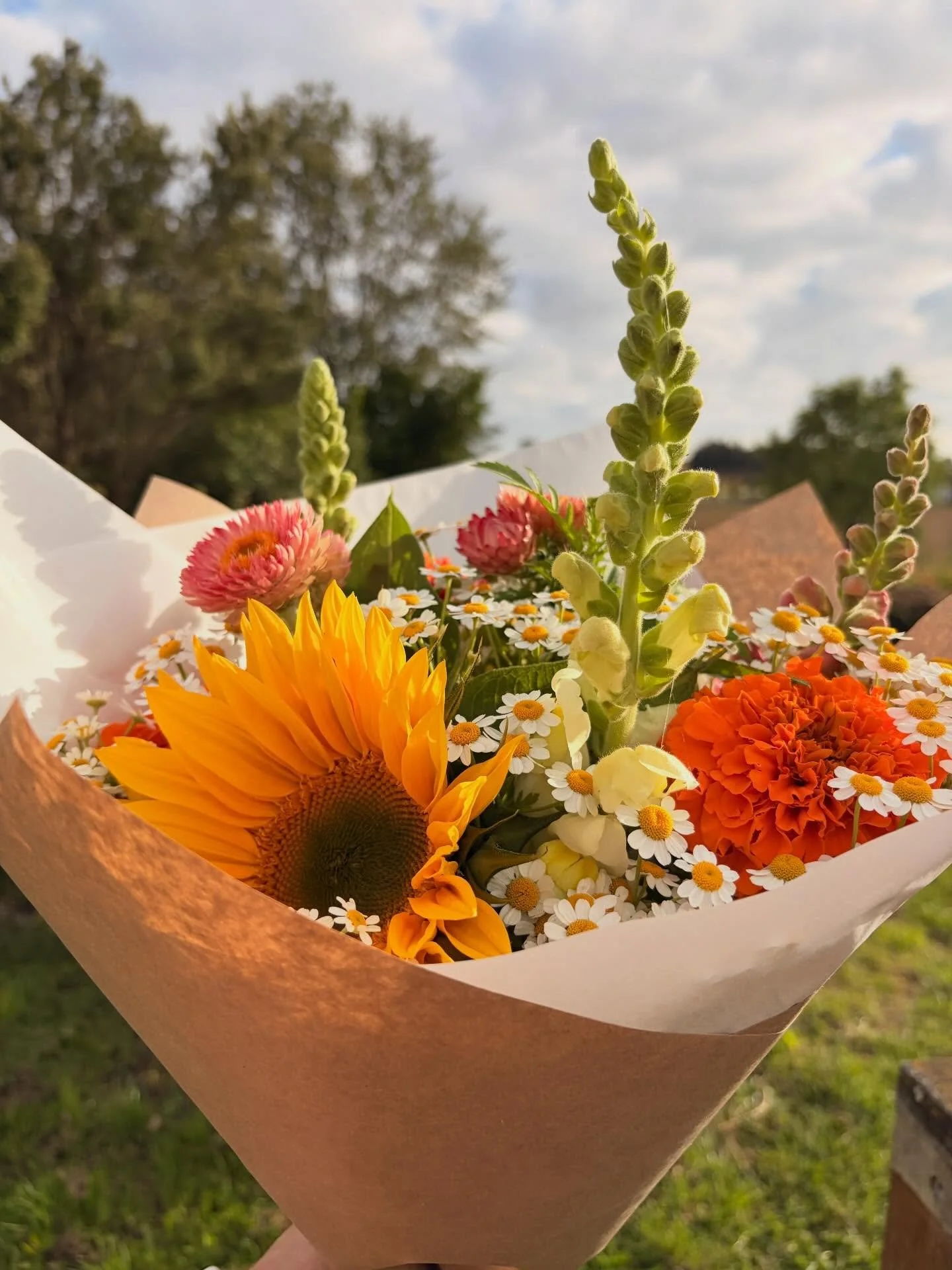 If your day needed brightening&hellip; this is it ☀️💐

Fresh flowers in the stand now 😊