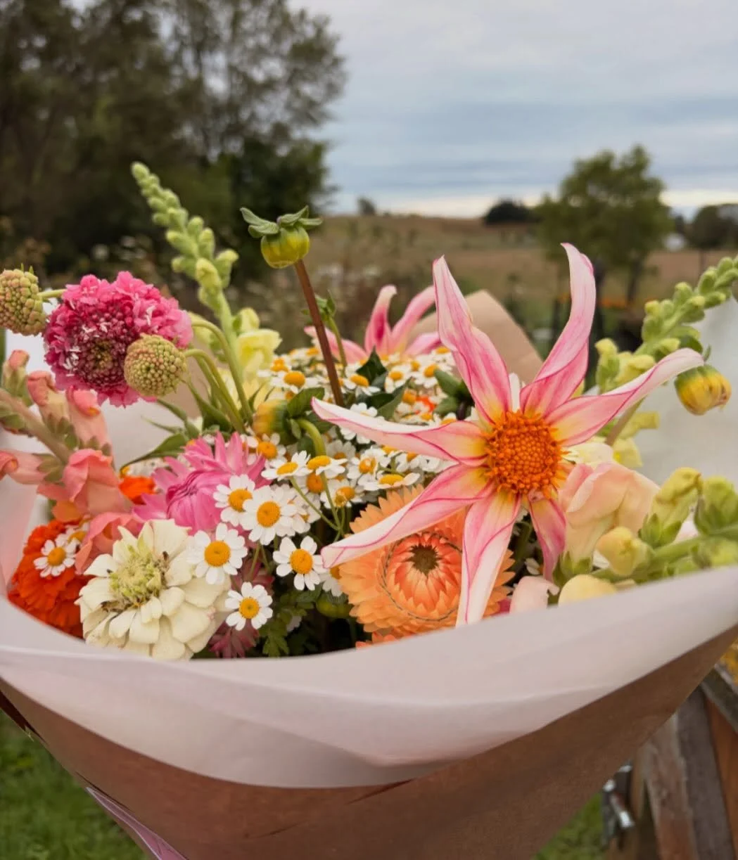 The rain won yesterday but the flowers win today! 🌸 

Lots of flowers in the flower stand freshly picked this morning 😊🌸💐