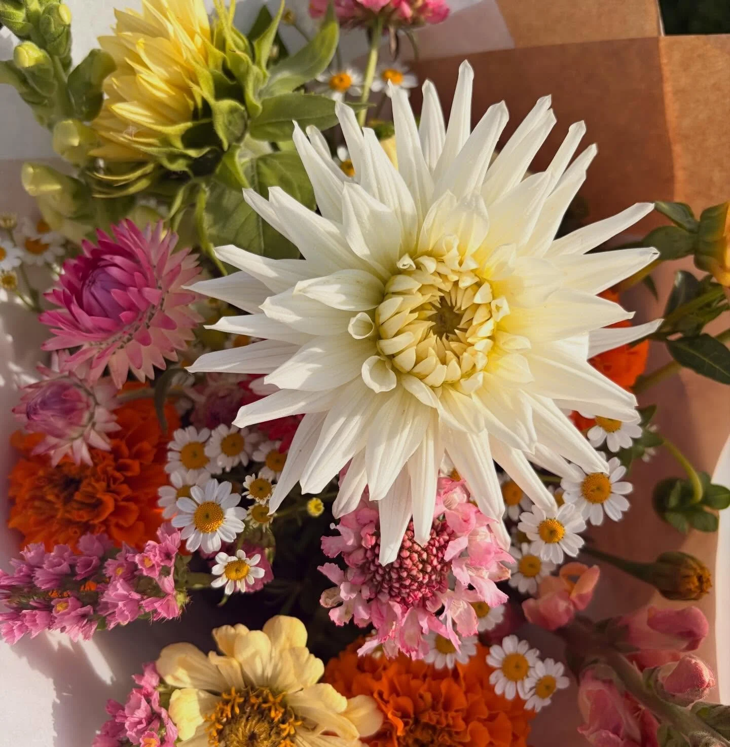 Lots of fresh flowers in the flower stand today 💐🌸