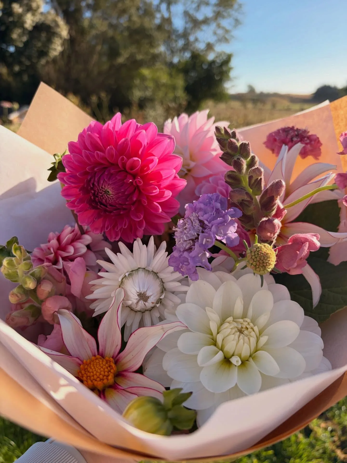 The flower stand it stocked for your Saturday and what a gorgeous day it is! ☀️☀️