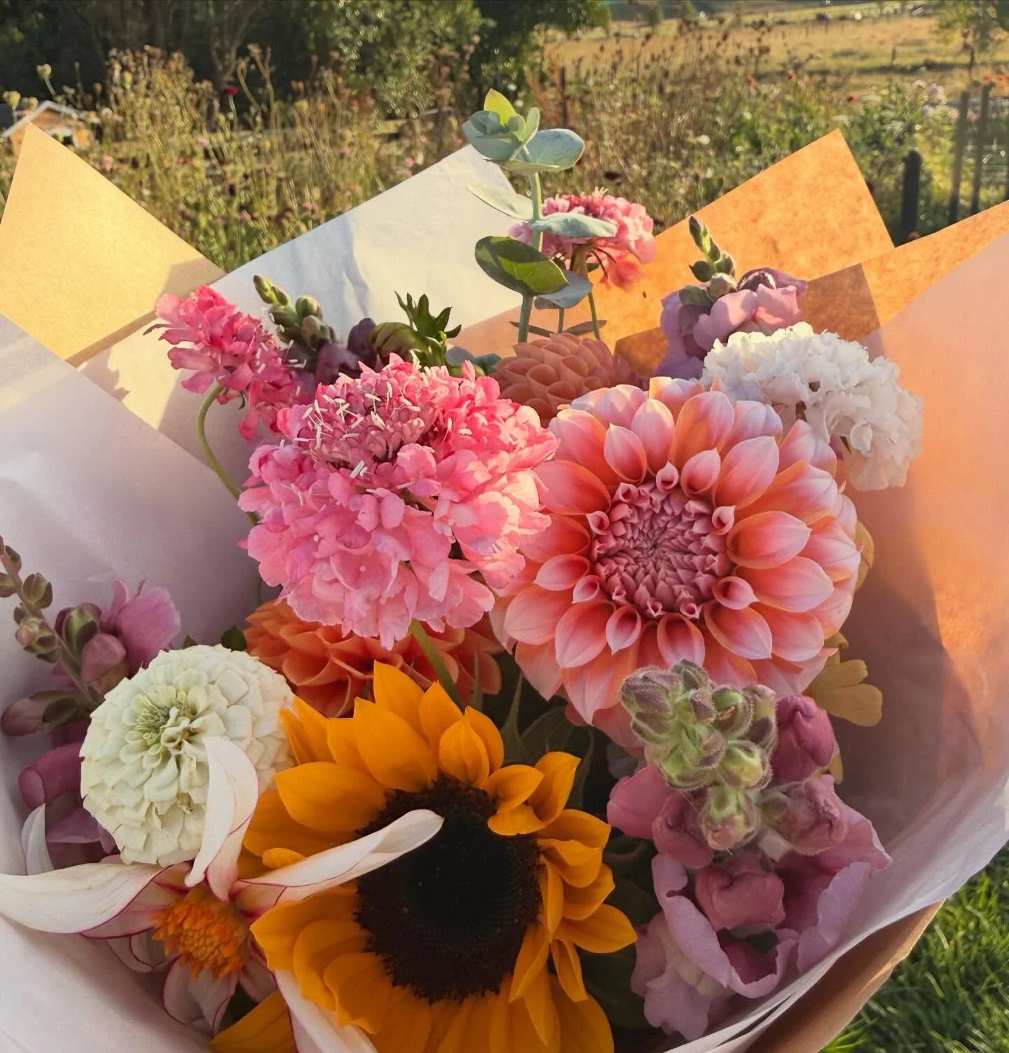 Happy Monday! Fresh flowers are in the stand this morning. How good is this autumn weather we have been having. The flowers are loving the sunshine and so am I! ☀️💐