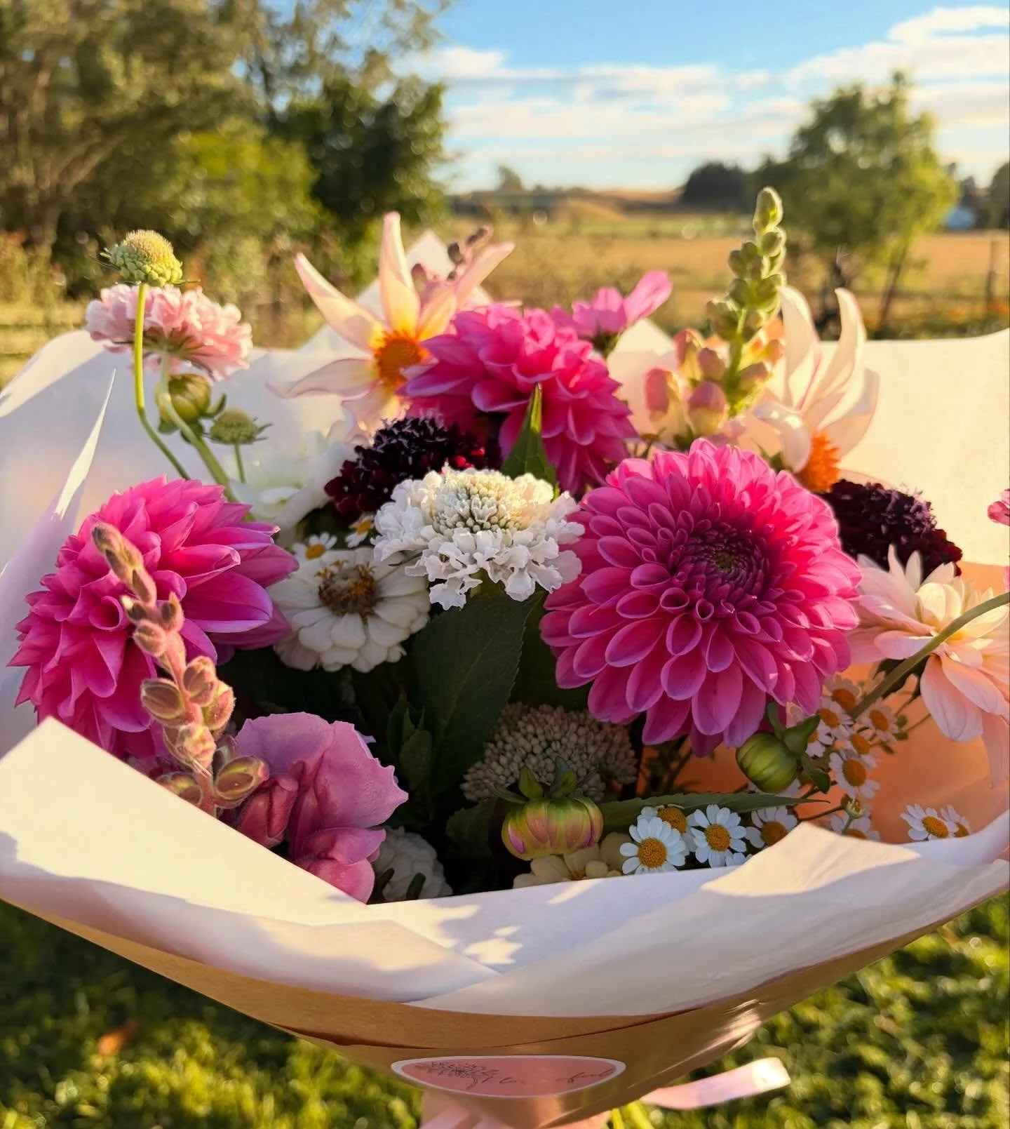 Well, the frost had the final say and it looks like our season is officially done! ❄️🌸
We were really hoping to hang on long enough to have flowers for Mother&rsquo;s Day but sadly it wasn&rsquo;t meant to be this year. 

To everyone who visited the