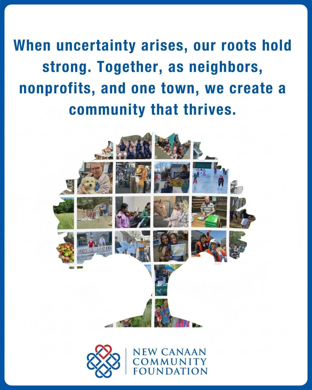 Some challenges we can plan for. Others arrive without warning.  NCCF is here, partnering, planning, and mobilizing when our neighbors need it most.

Through our Annual Appeal, we strengthen the network of nonprofits, respond in moments of crisis, an