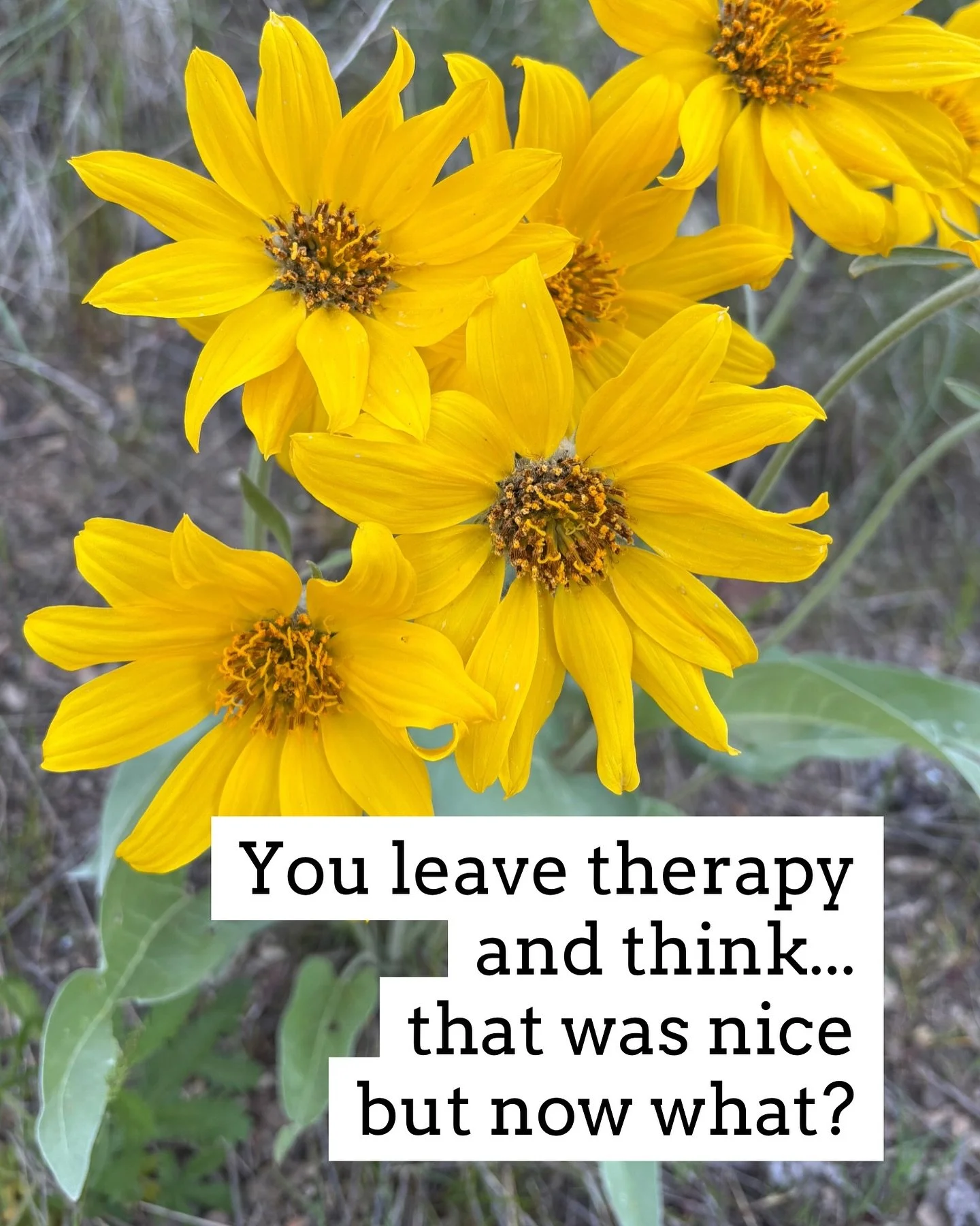Save this for post-session spirals 🌻

You don&rsquo;t need to &ldquo;do something&rdquo; with every therapy session.

Sometimes you leave feeling cracked open, foggy, or like something big happened and you can&rsquo;t name what. That&rsquo;s your ne