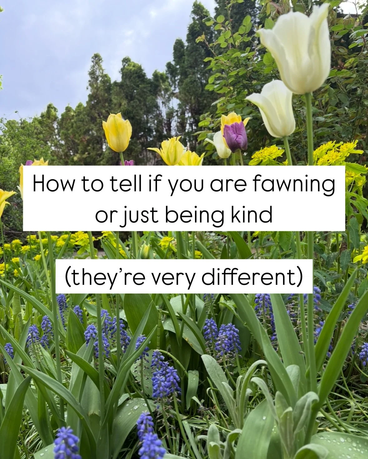 Not sure if you&rsquo;re fawning or just being kind?
 Here&rsquo;s how I help clients spot the difference &mdash; and what we begin to notice together in session👇

Fawning is a survival response &mdash; one that often looks like generosity, helpfuln