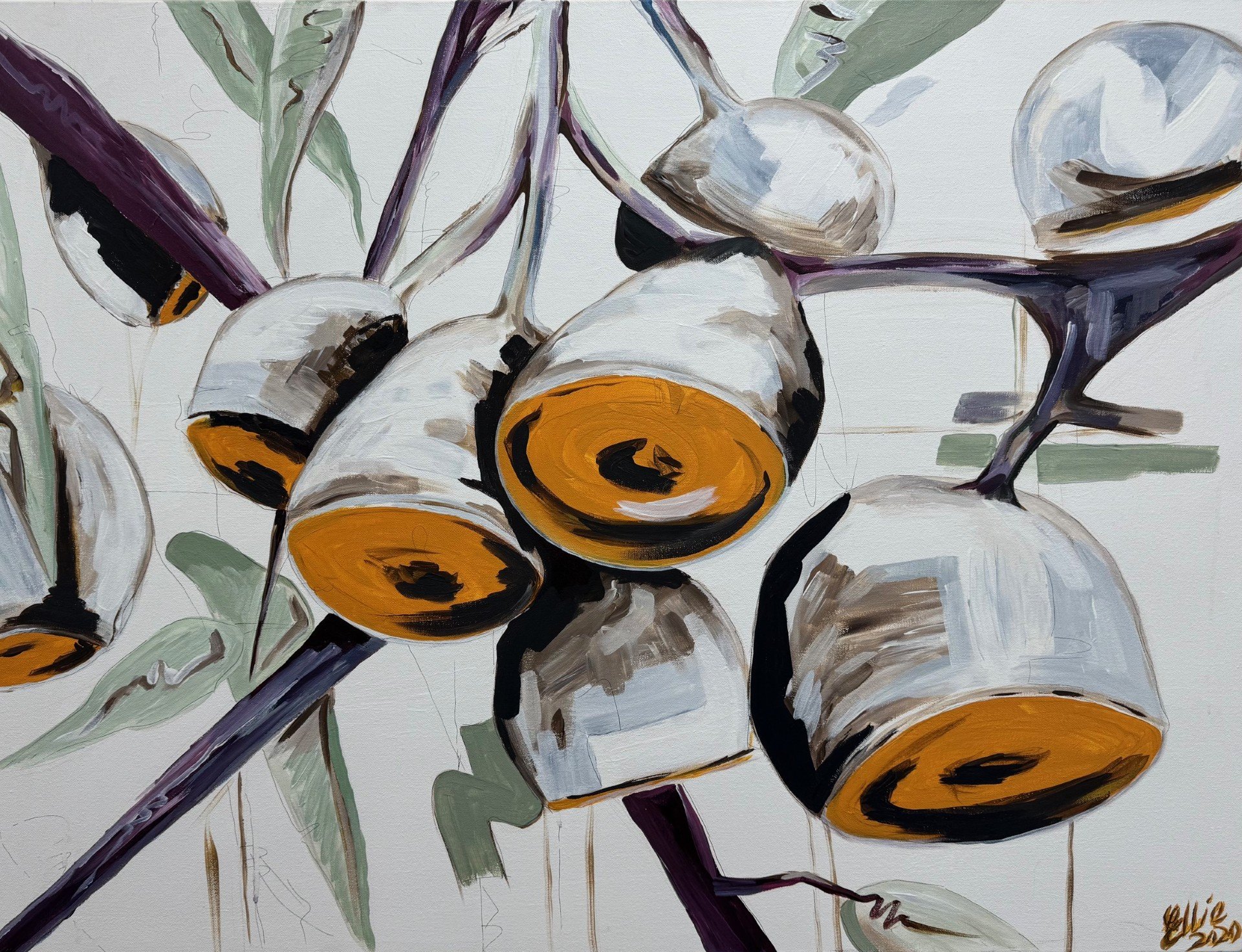Gum Nuts (2020). Gum nuts in situ. $590 + GST
