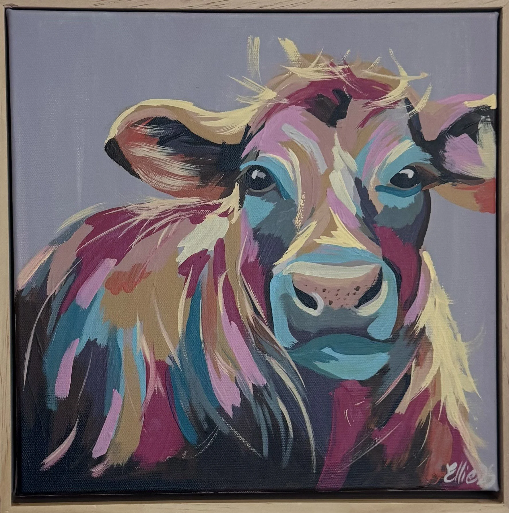 Sheilagh (2025). A most resplendent bovine. $79 + GST