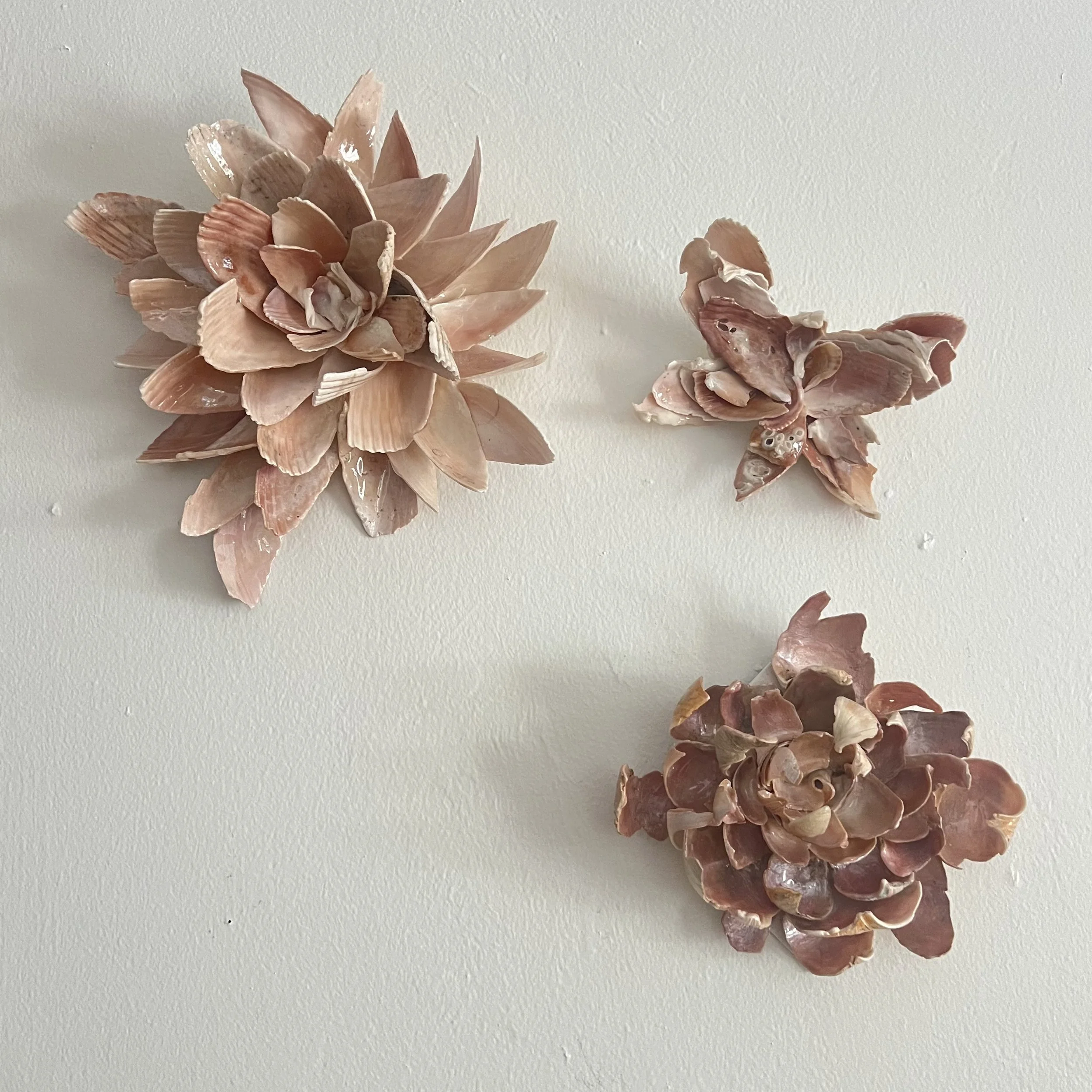 1ADE1817-D397-4A1B-82B9-715EB640F182.jpeg