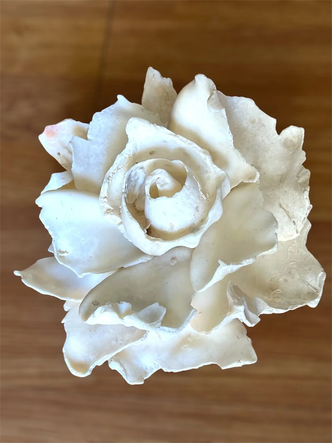 D426E192-6112-41BD-BEFF-391B3C7C2952.jpeg