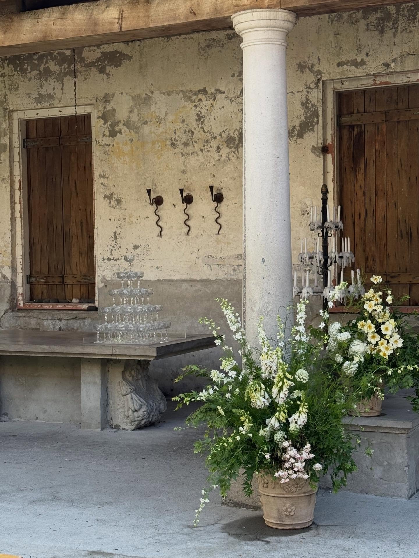 Magic for A &amp; M 🎻🕊️