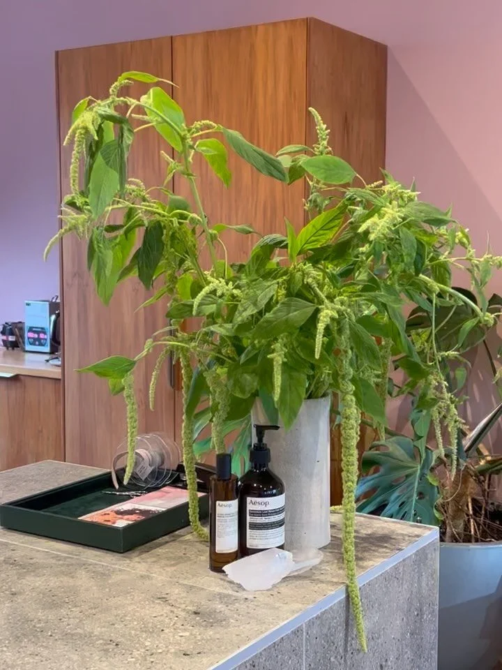 We adore doing our weekly flowers for our lovely corporate clients. &hearts;️
If your space needs a little extra warmth, please reach out for a consultation as we have the capacity.

🌸🌻