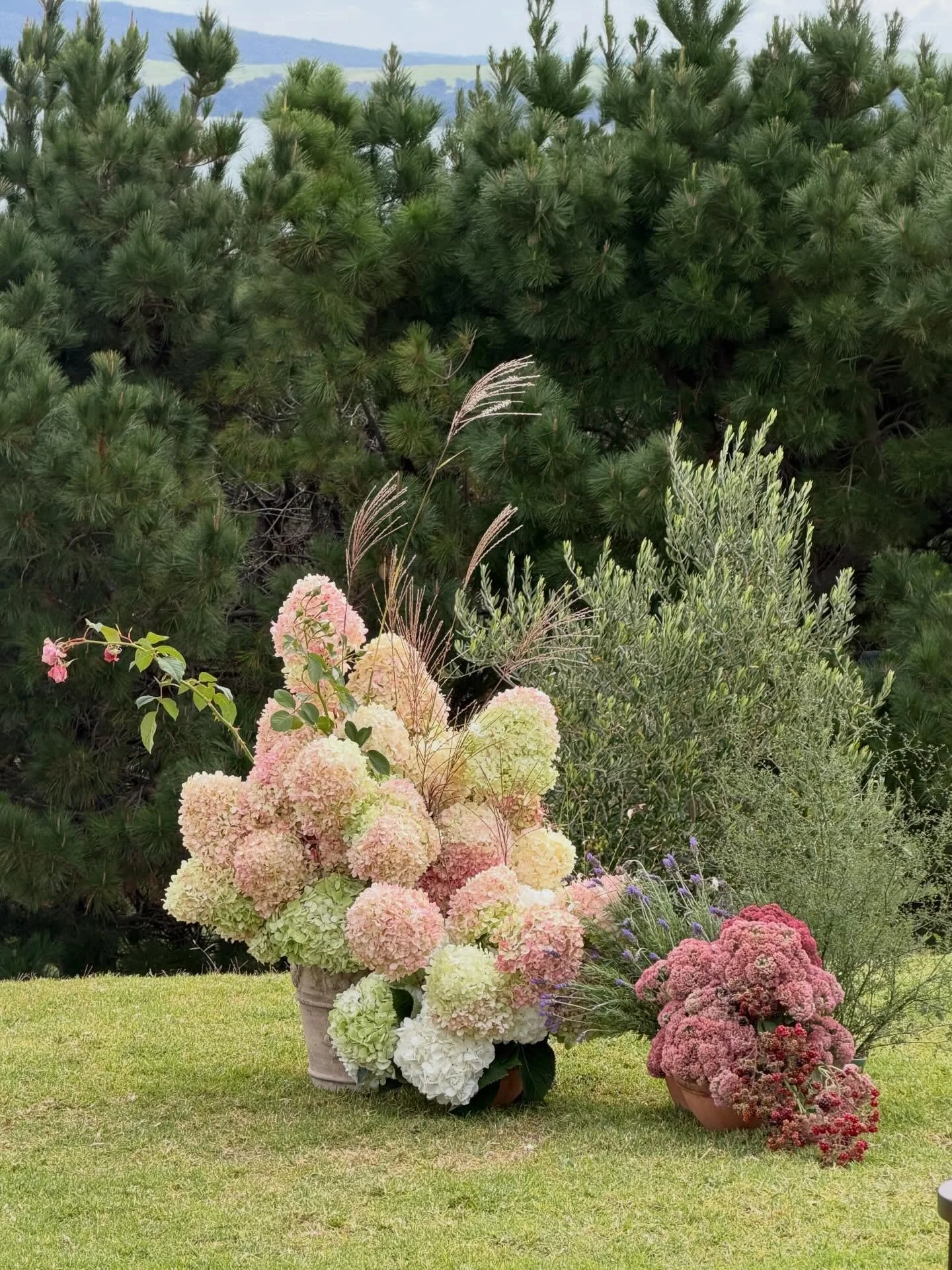 P &amp; L 9.3.26 🤍🍸🫒