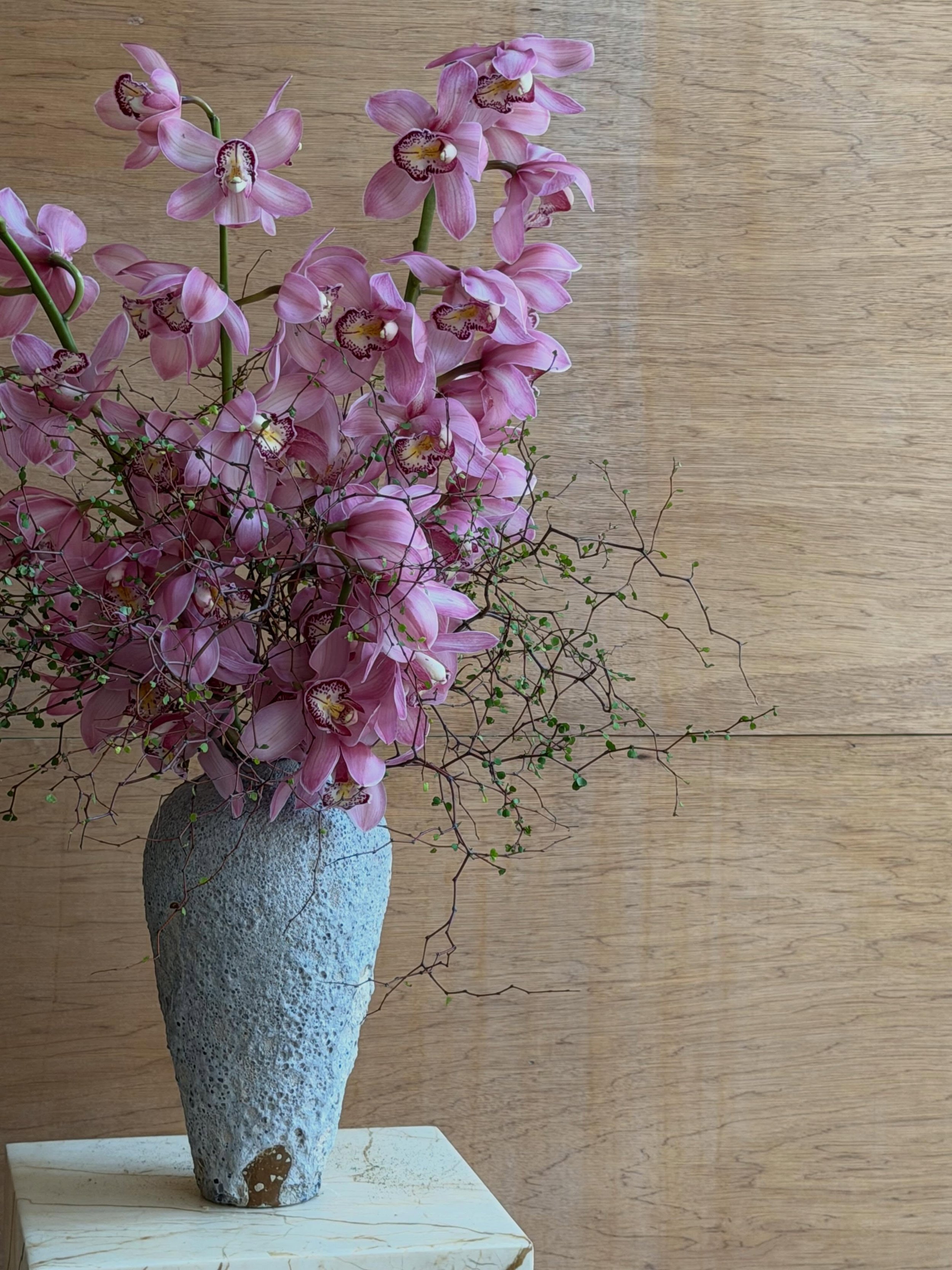 Cymbidiums &amp; Muehlenbeckia - the perfect winter combo!