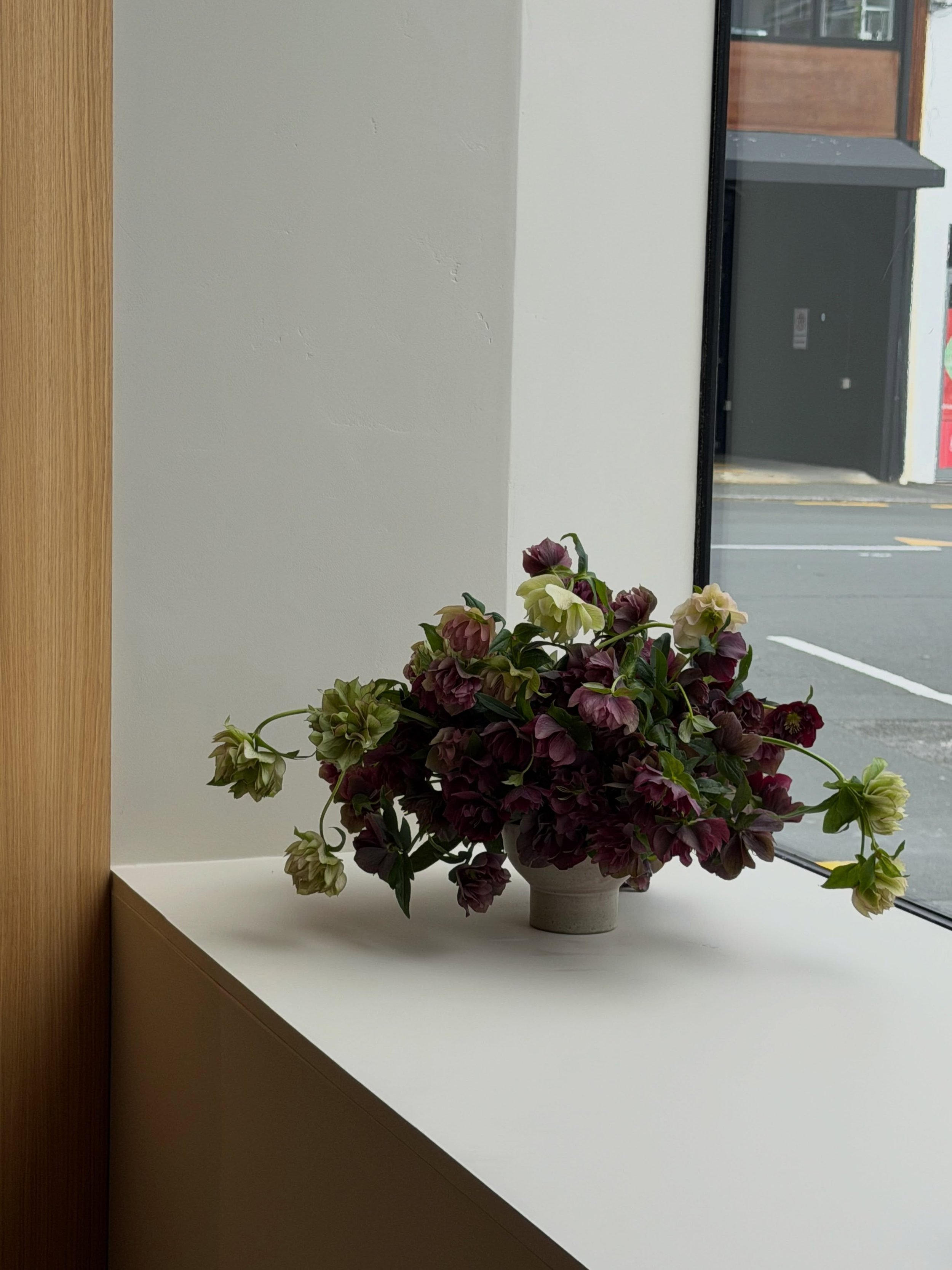 Hellebores on repeat this week!