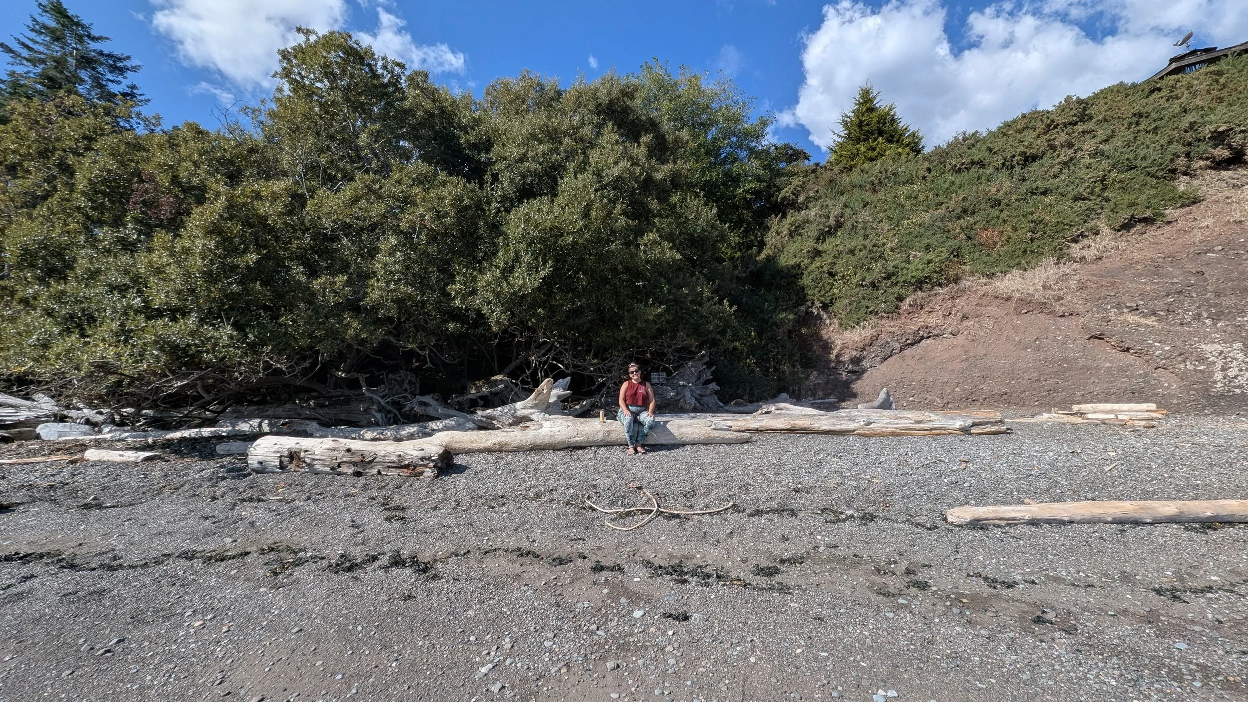 Why People Work With a Coach: Reflections From a Rainy Morning