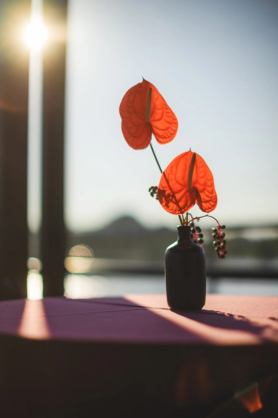 A black vase with two red anthurium flowers and some small berries, placed on a pink table with sunlight coming from the left.