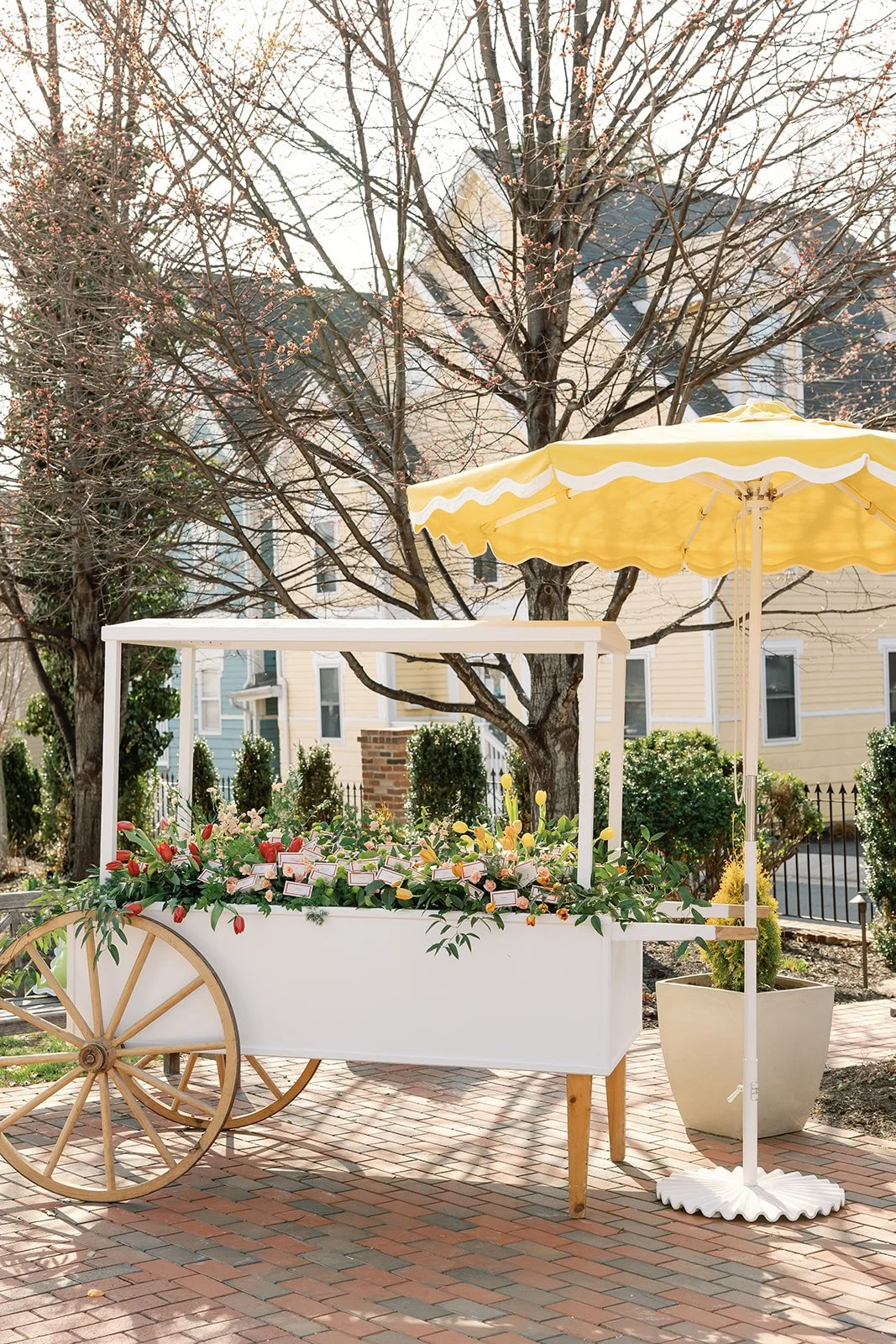 Maggie Morris Photography
The Birkby House, Leesburg VA
Colorful garden wedding florals chuppah ceremony