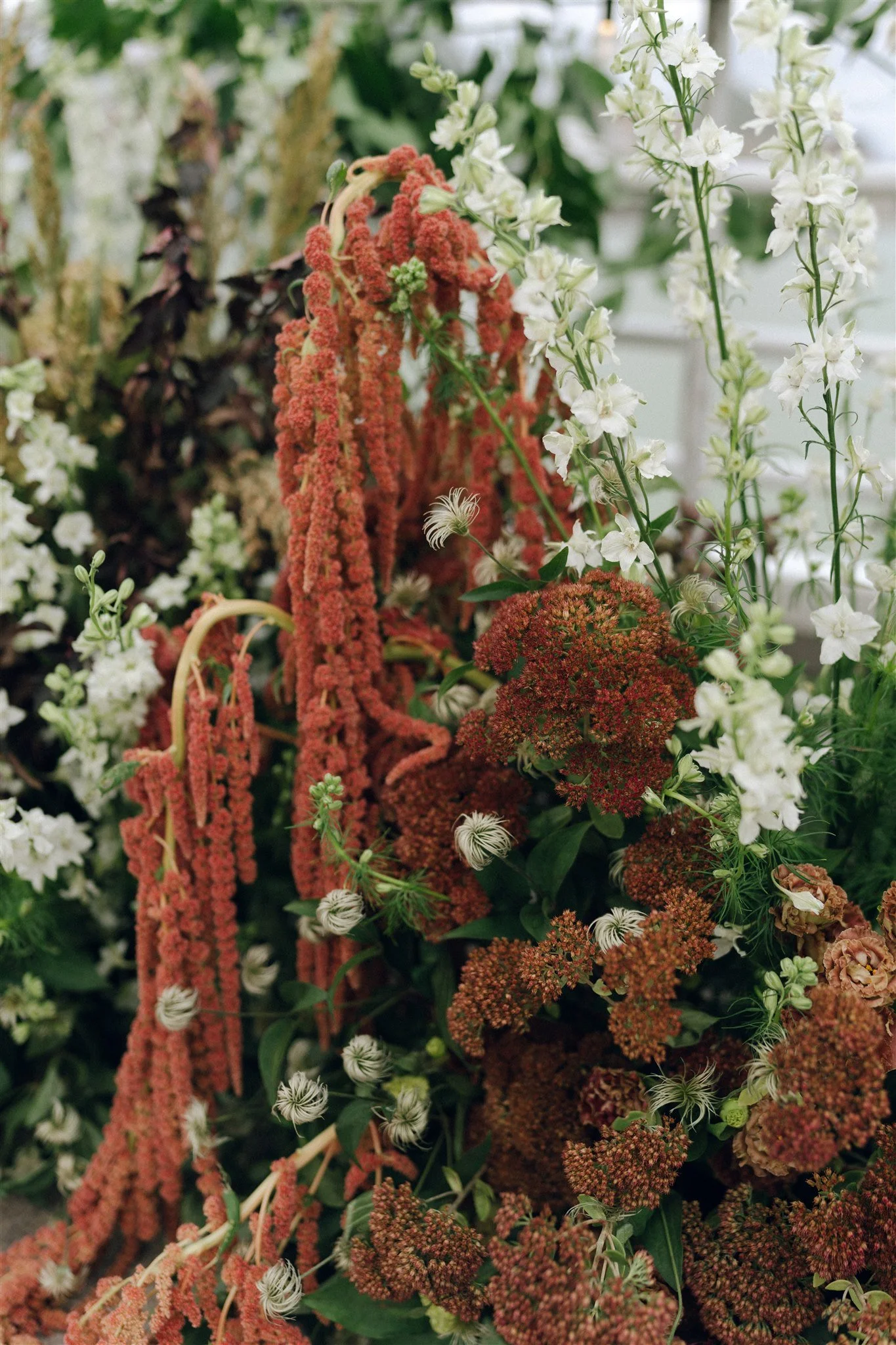 Various flowers including white, red, and green plants with different textures and shapes.
