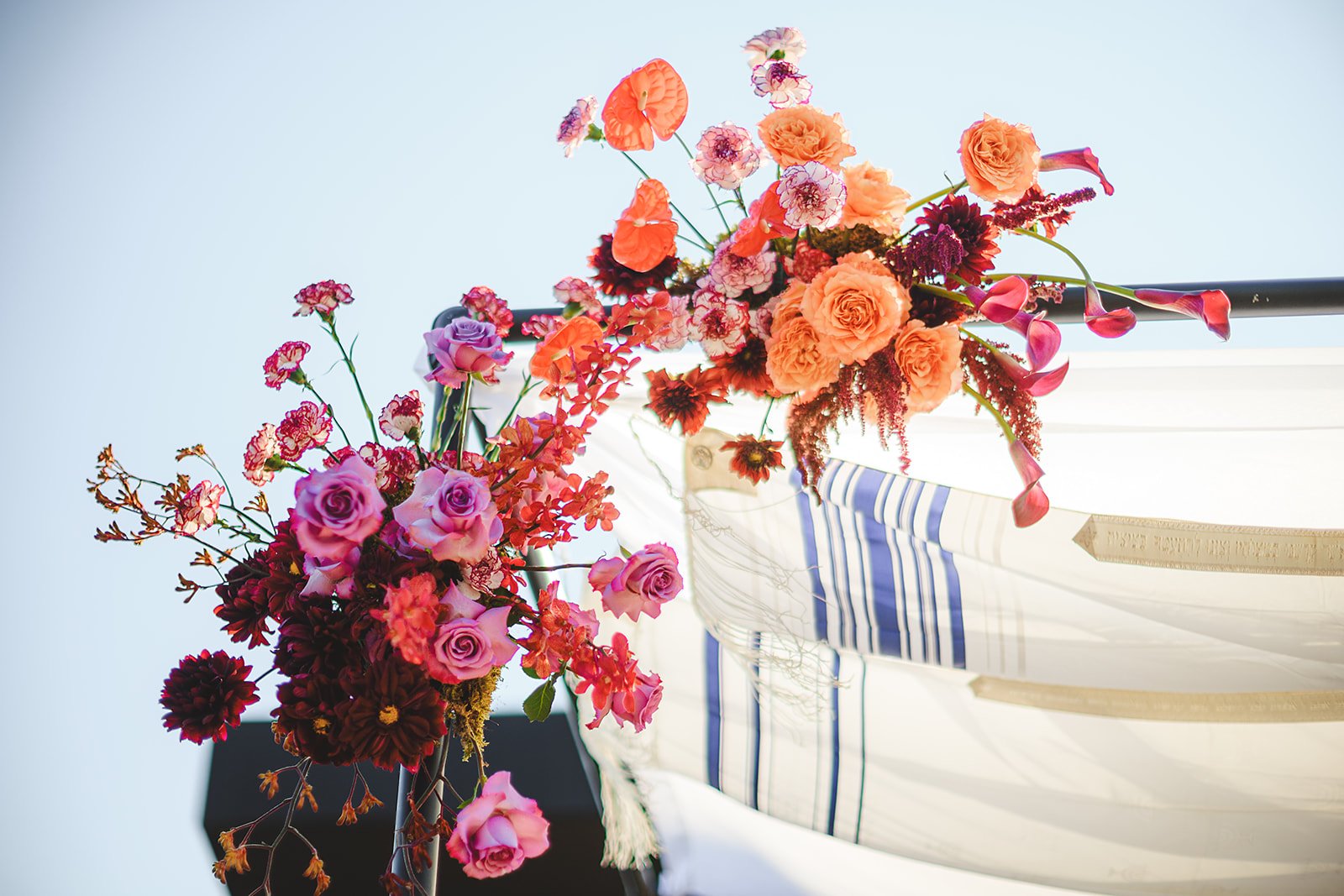 Close-up of vibrant pink, purple, orange, and red flowers arranged on a decorative fabric. Under bright sunlight with a clear sky background.