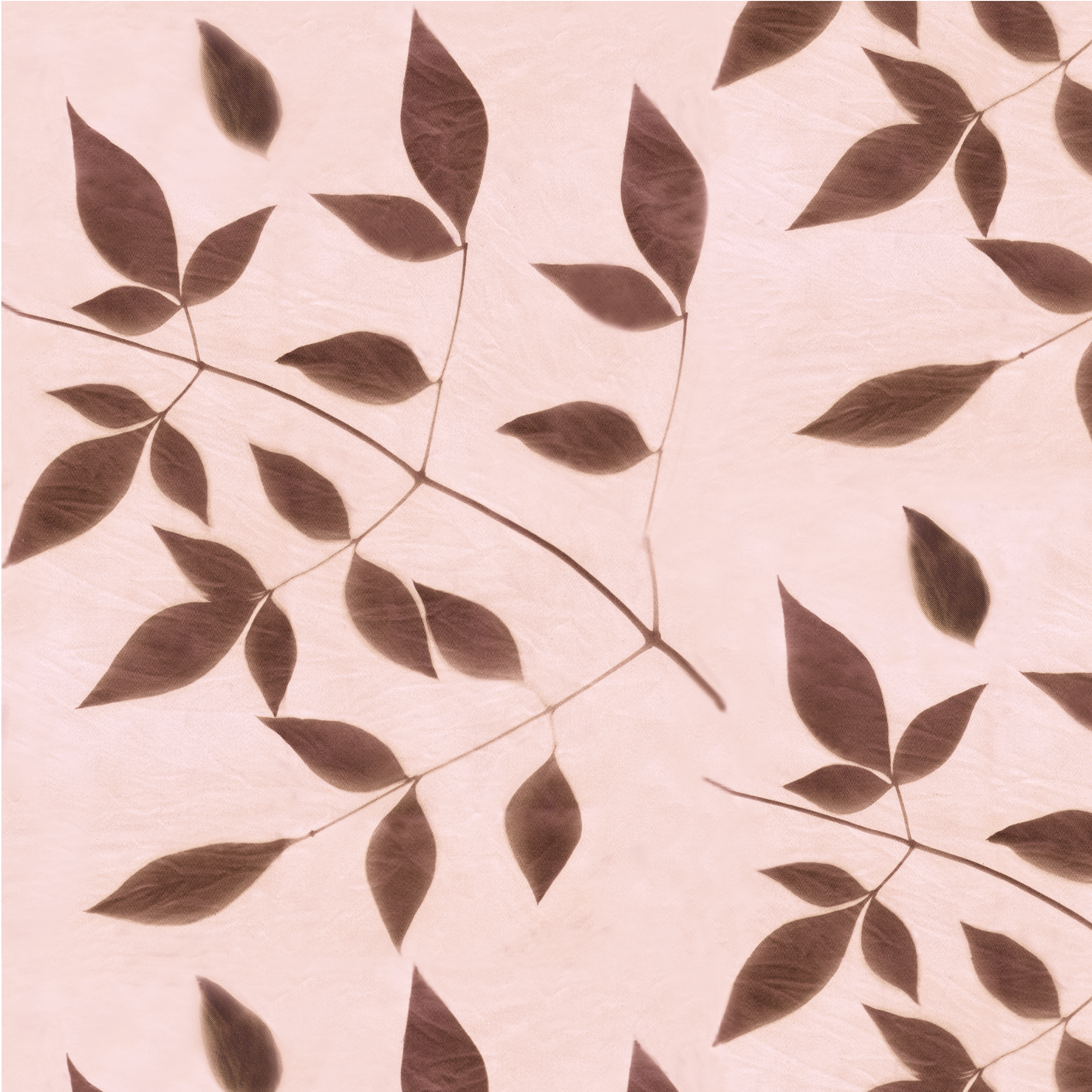 Nandina soft rose rpt 10.4 memo.png
