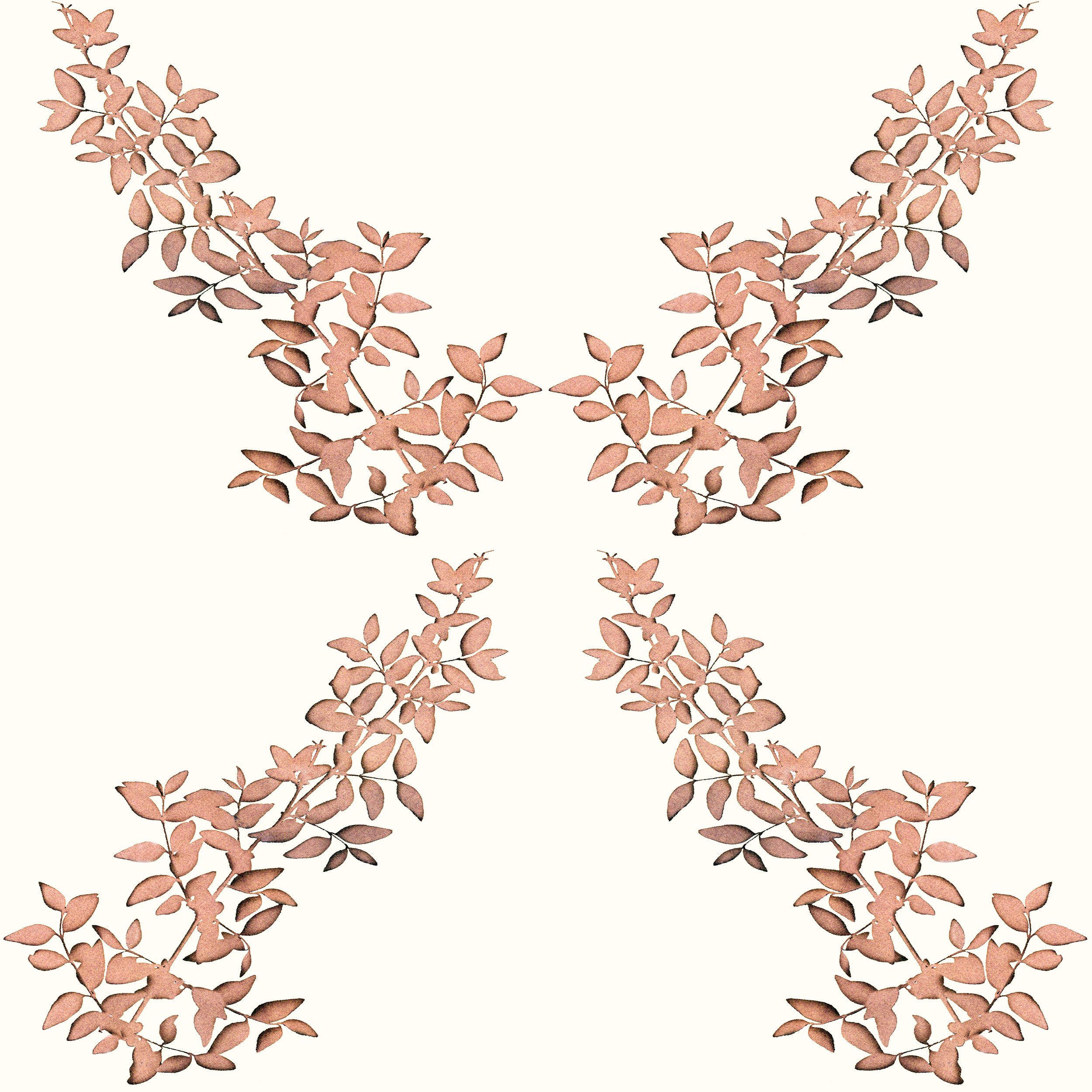 Amelia beige test.png
