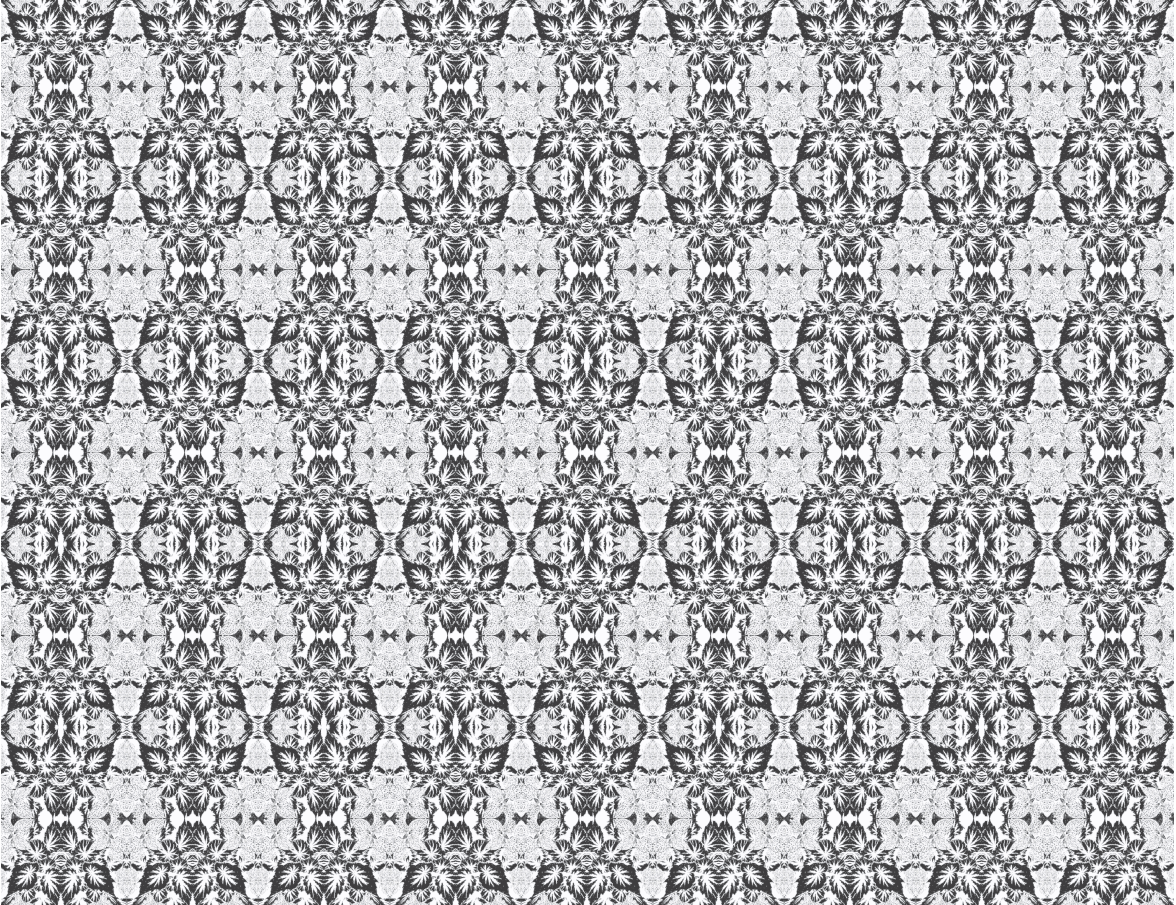 Begonia BW tile.png