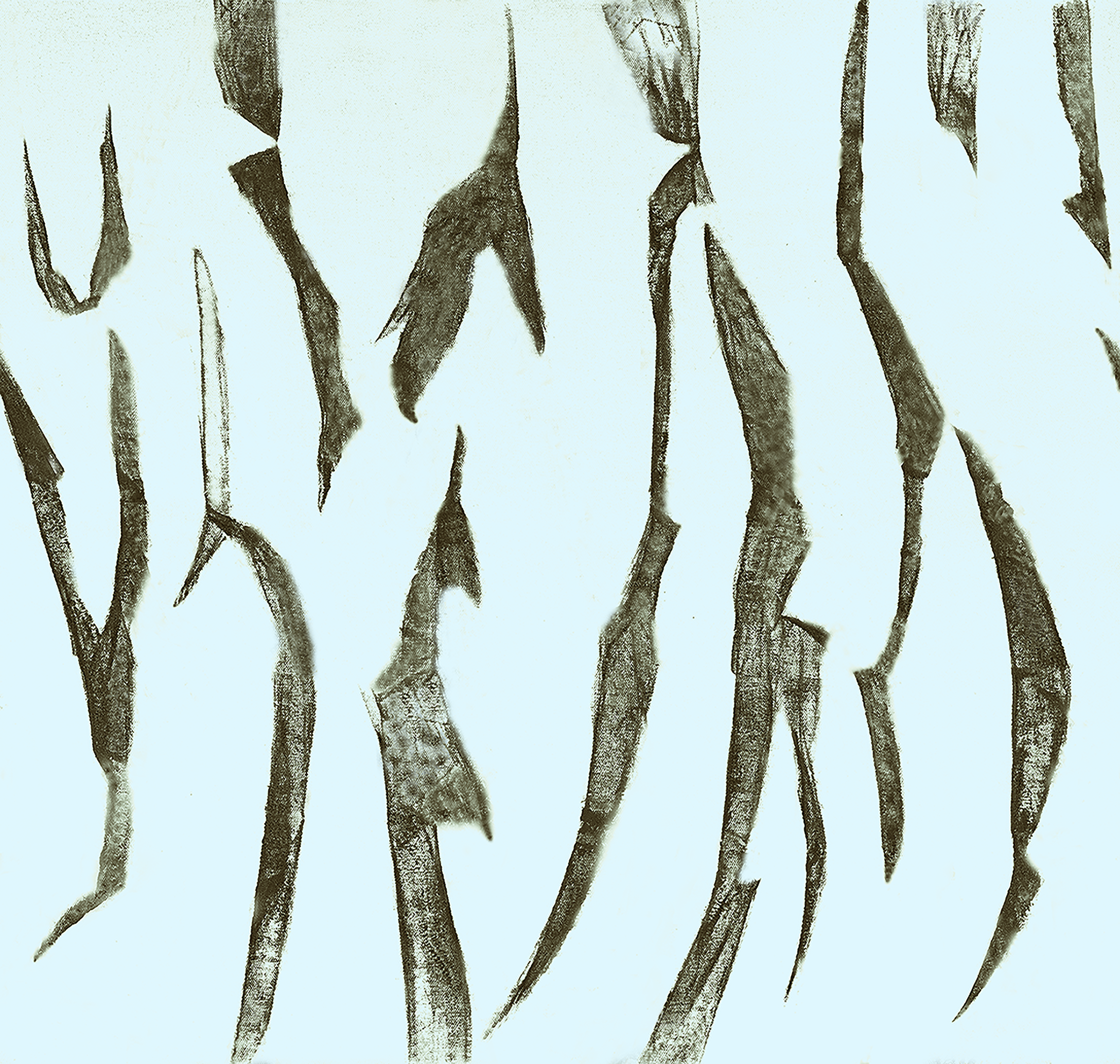 Bamboo aqua 2 7.25.png