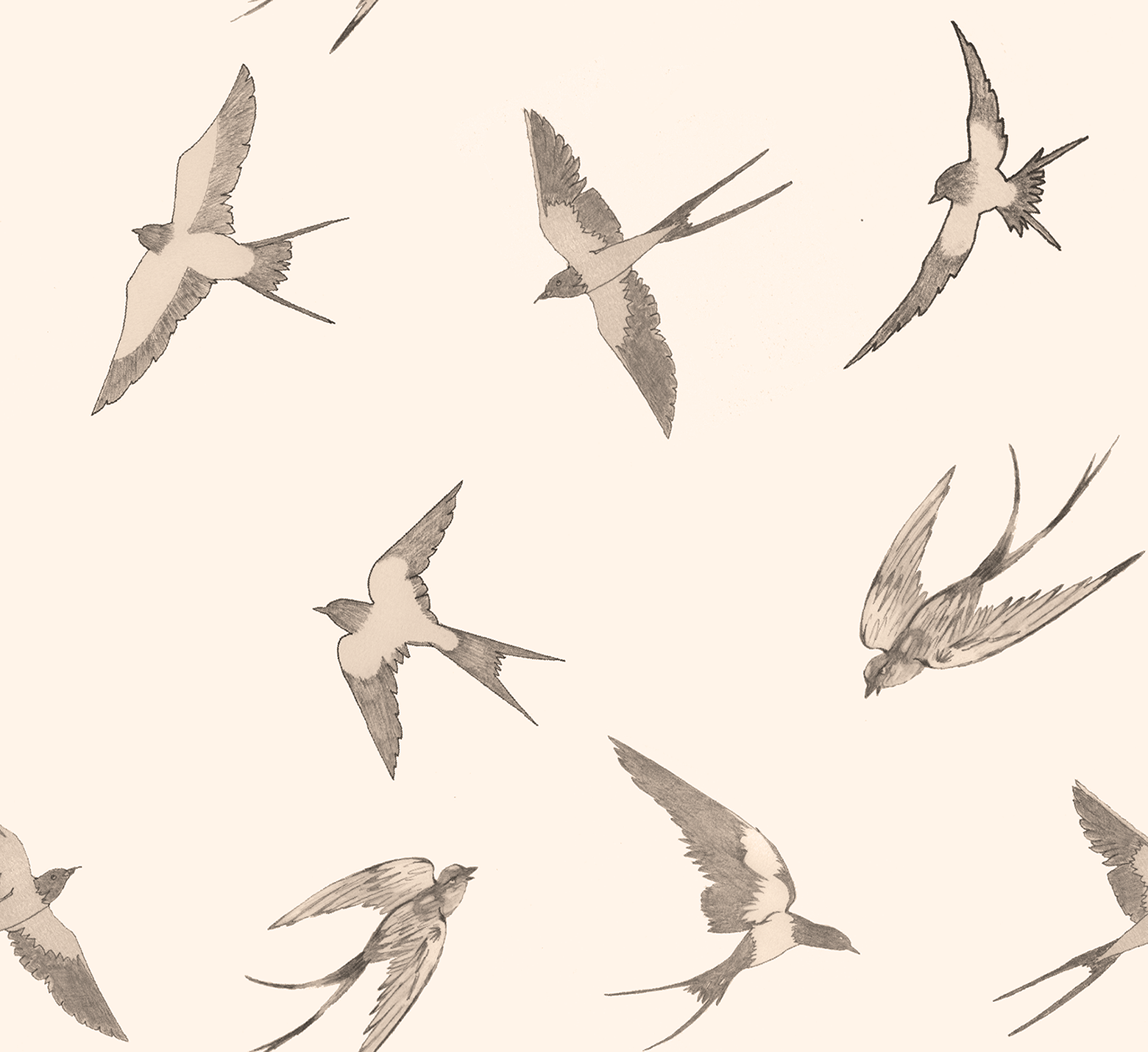 Swallows rpt F-K 10.4 sepia.png