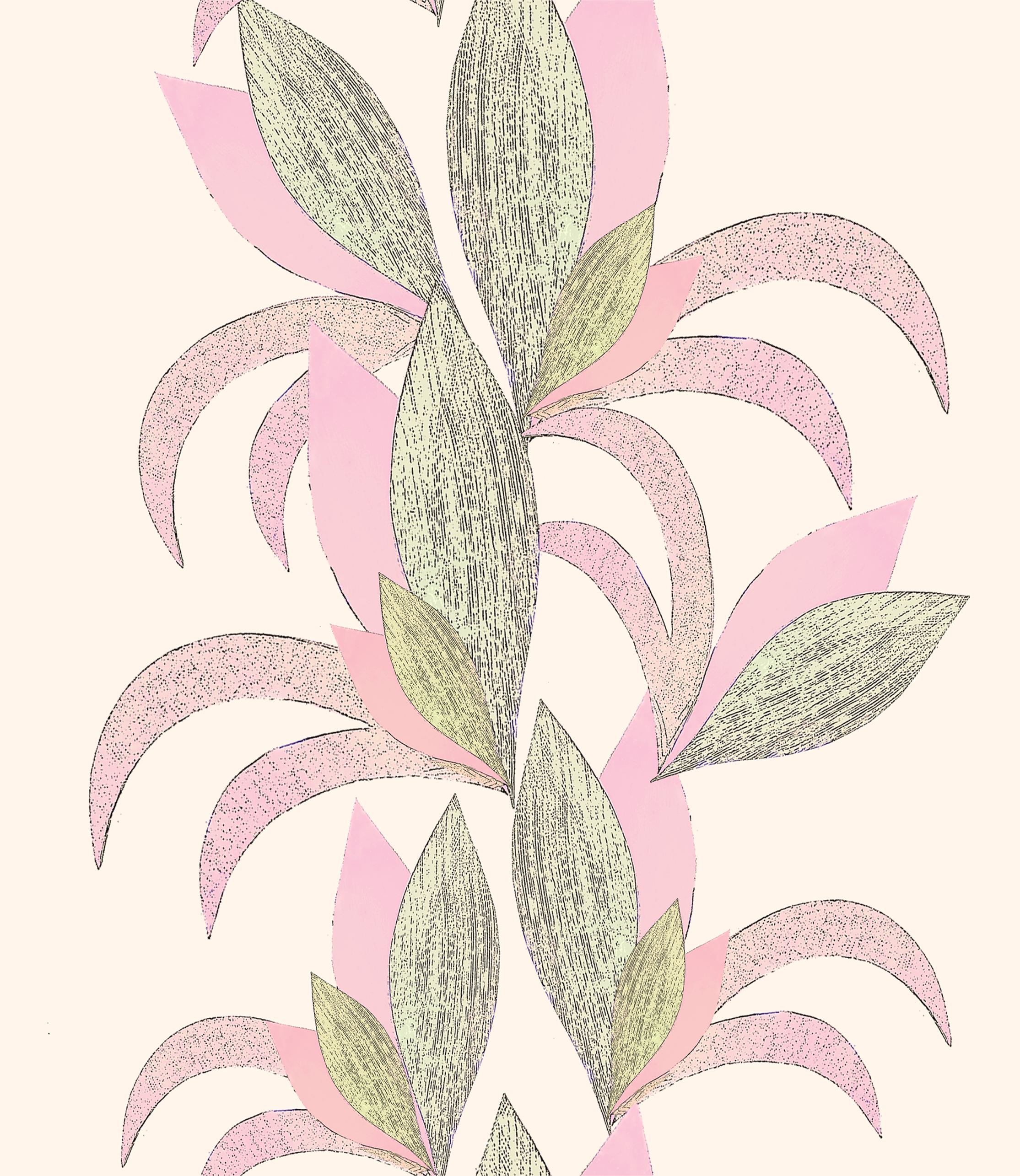 Lili col pink.png