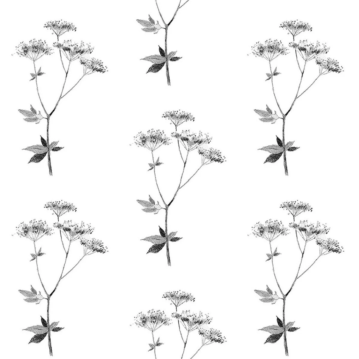 Lace graphite 5.27 memo-01.jpg