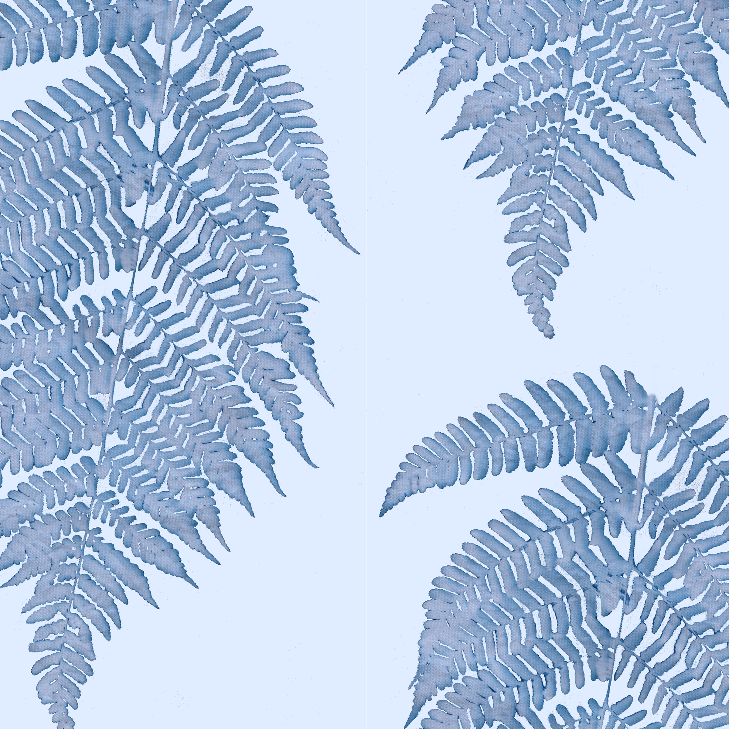Single fern sapphire 10.4 YES memo red20.png