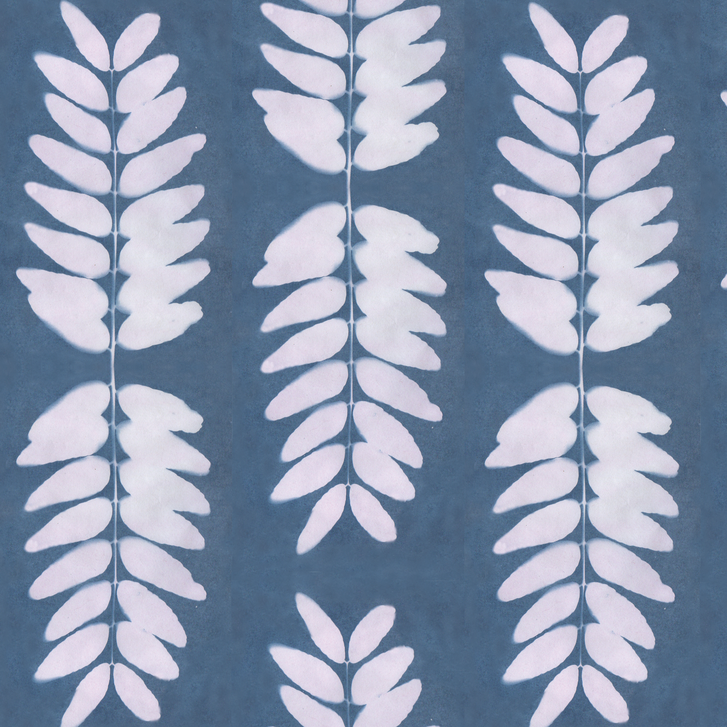 Honey locust bk pink 5.2 memo.png