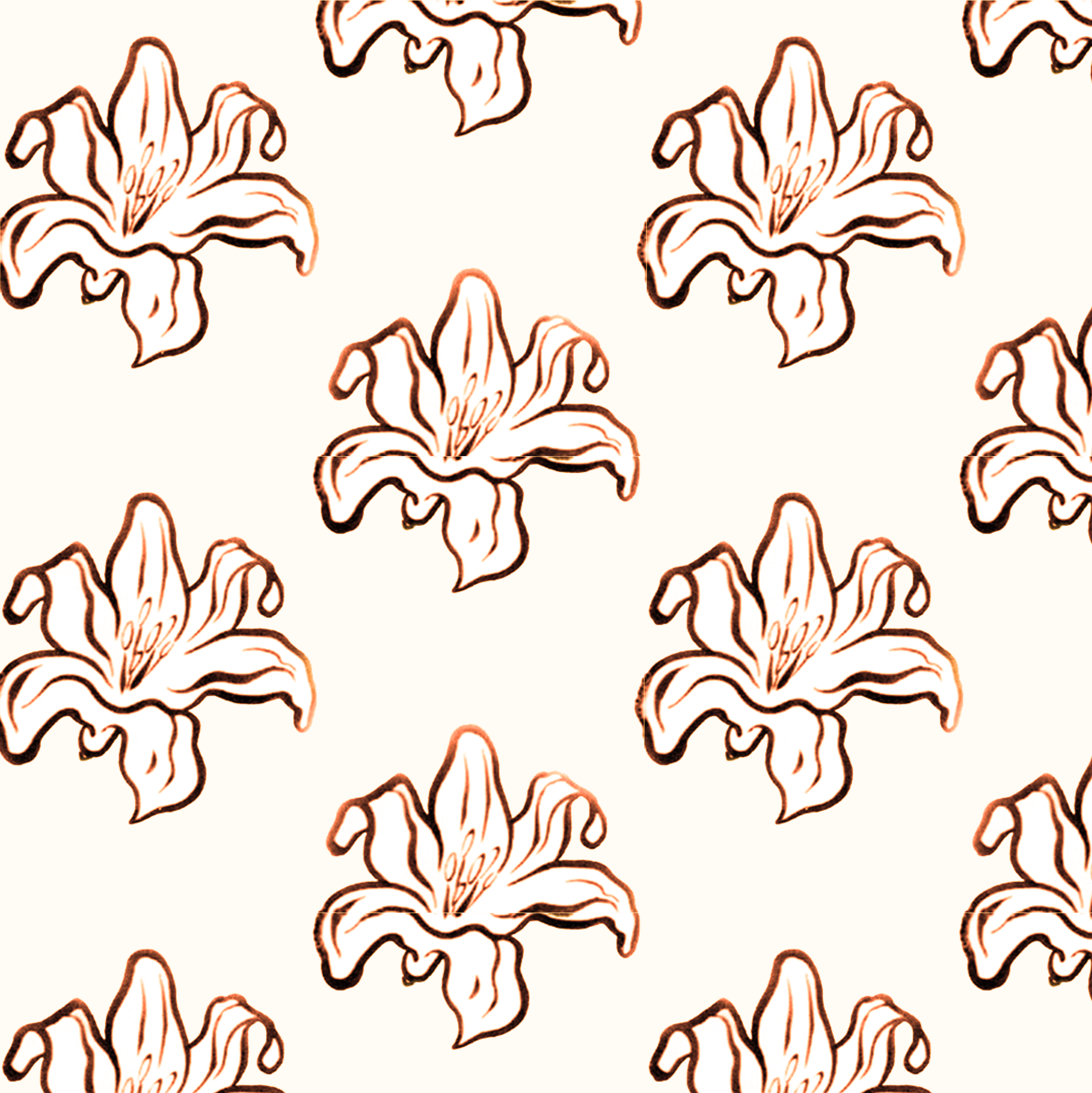 Day lily blush 4.73 a memo.png