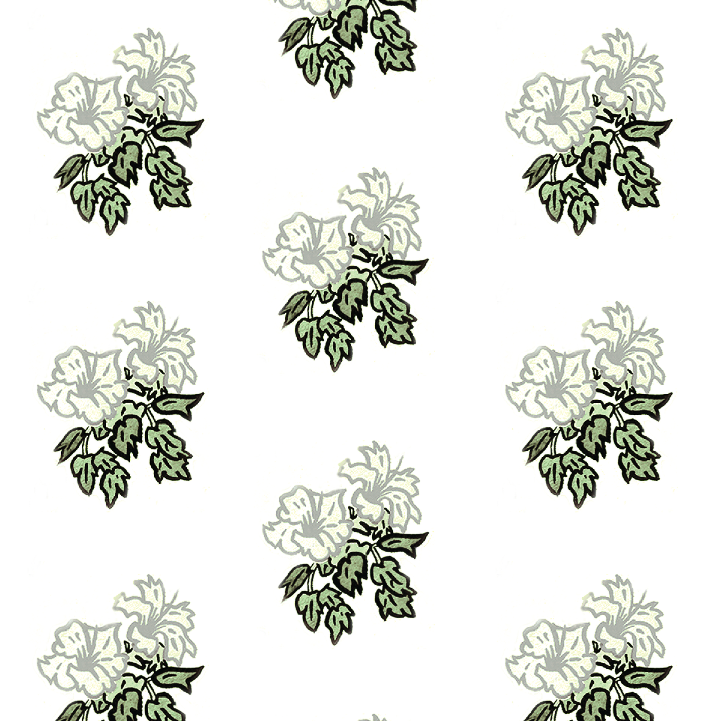 Hibiscus a sage-4.33 5.2 memo.png