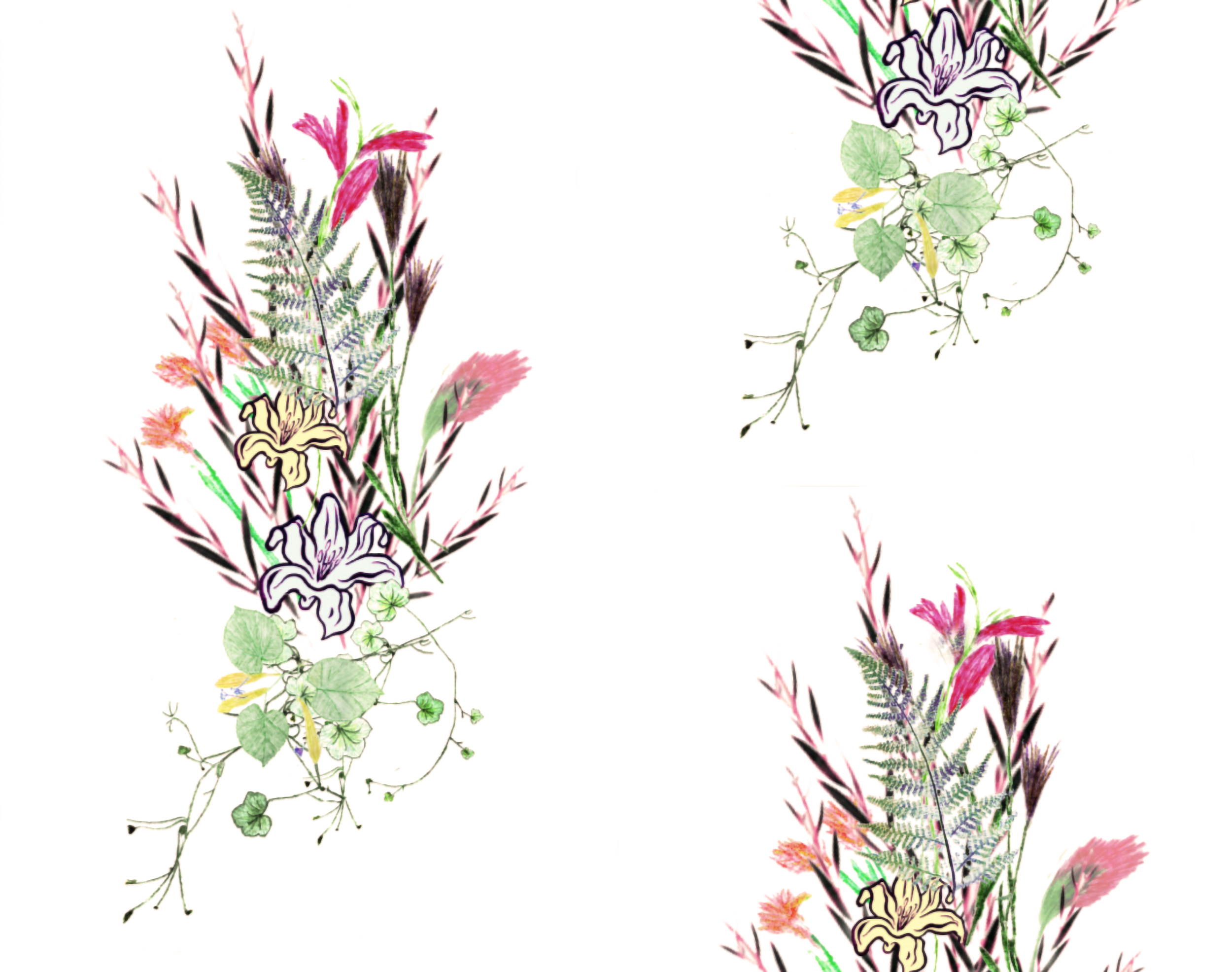 Wildflower bqt rpt-17.33.png