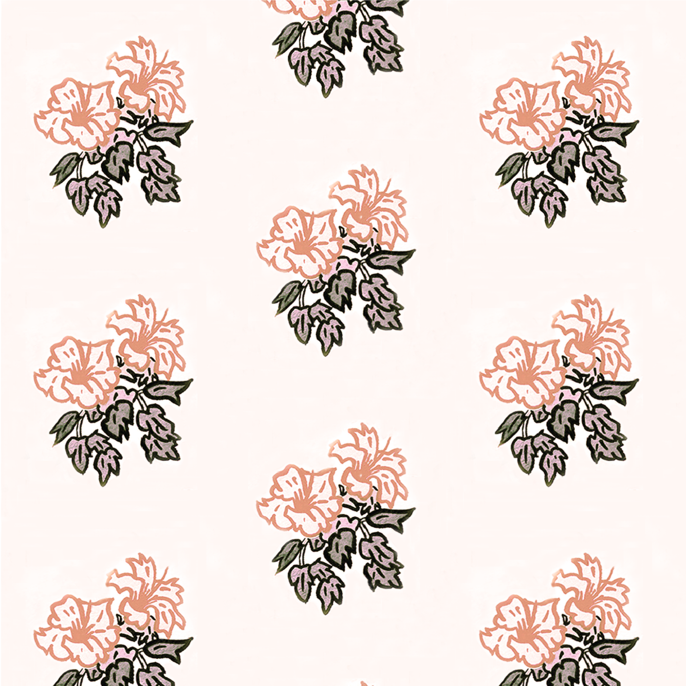 Hibiscus a soft terra 4.33 5.2memo.png