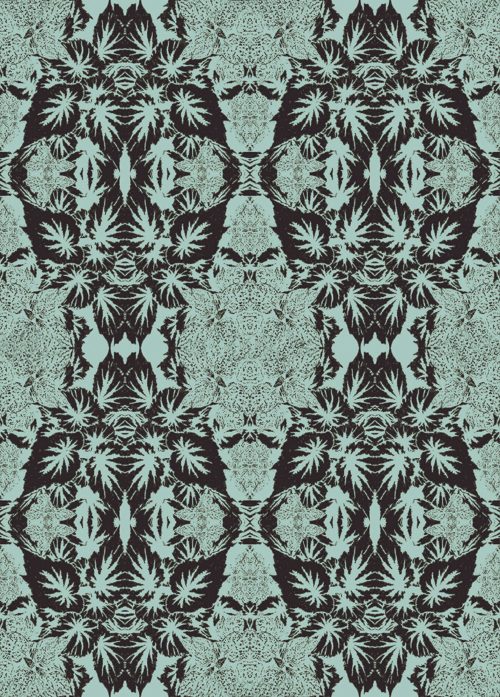 Begonia river grn 2 11.6.jpg