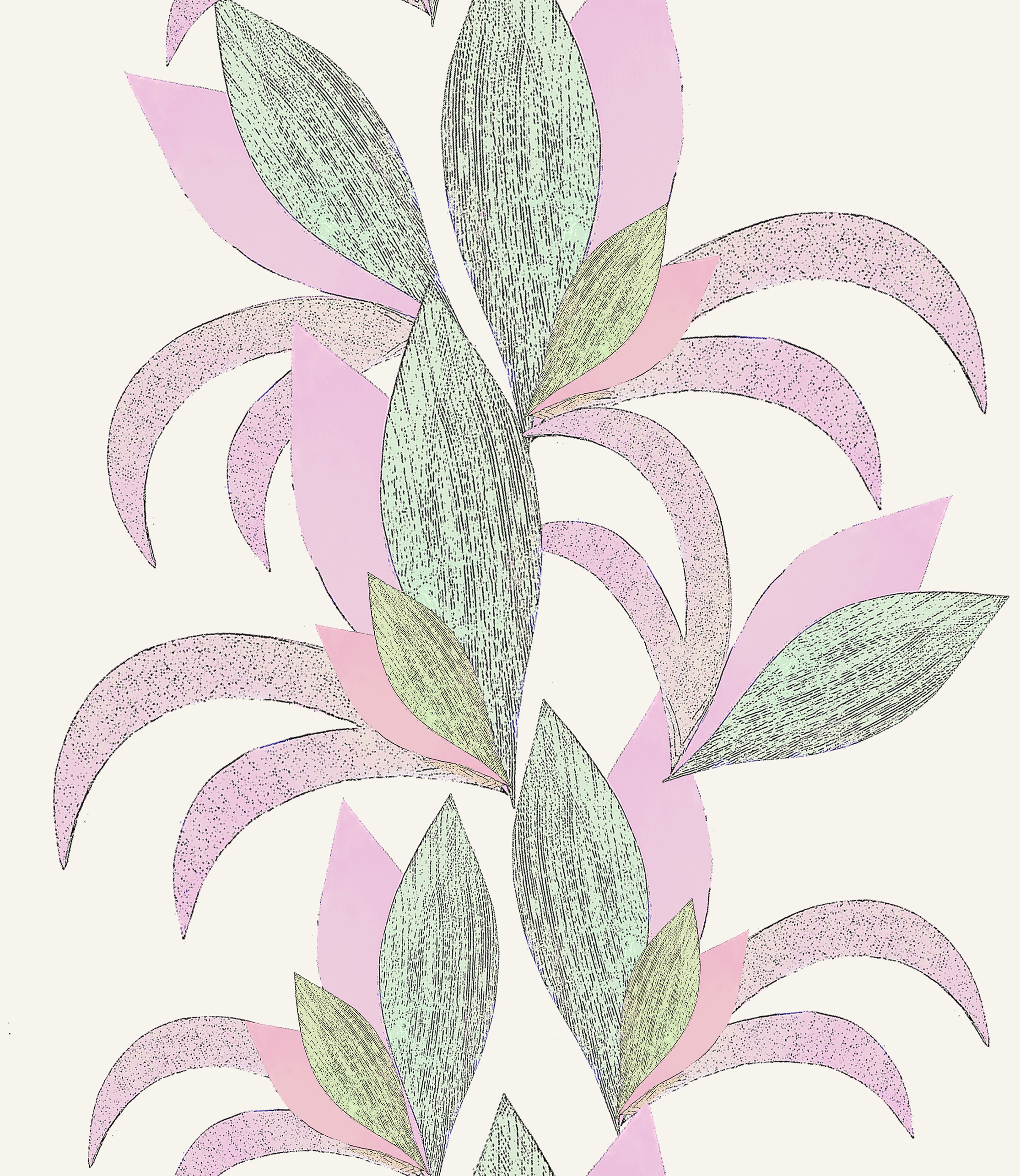 Lili col pine w pink.png