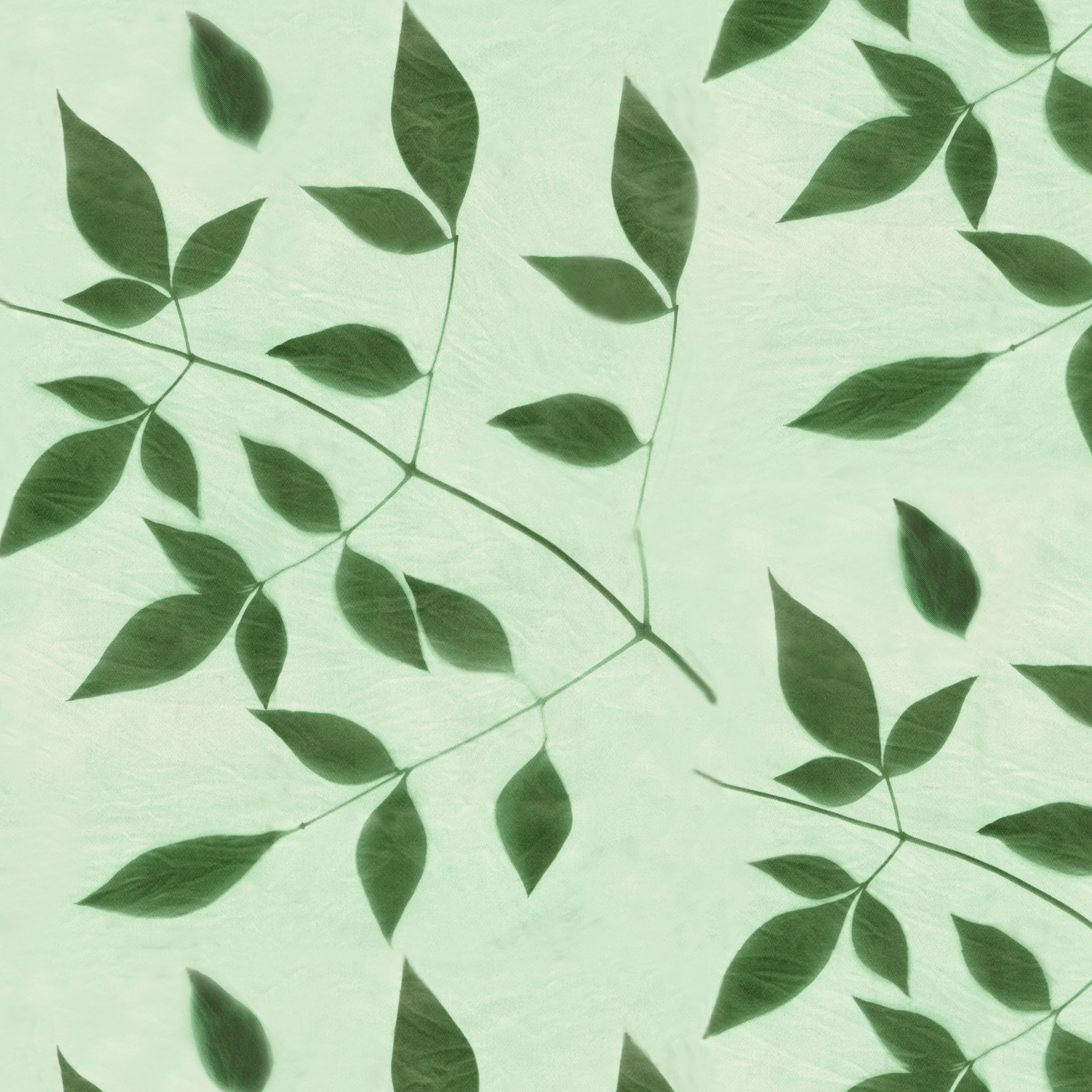 Nandina gr tonal 10.4 memo.png