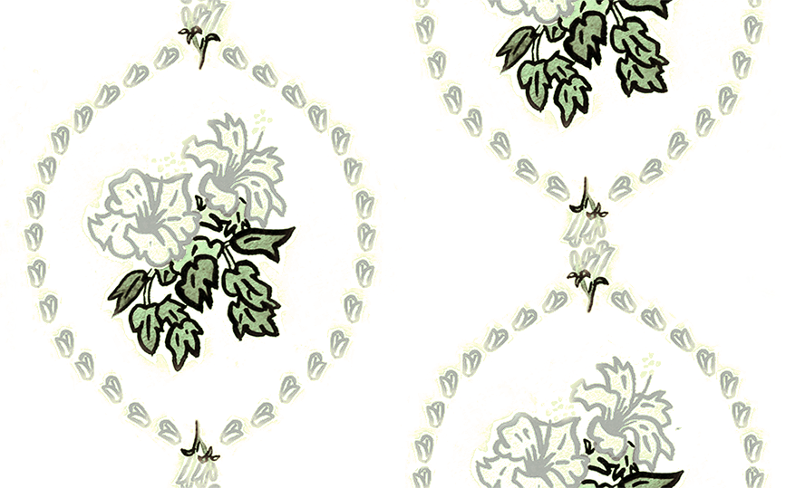 Hibiscus cameo sage 5.78.png