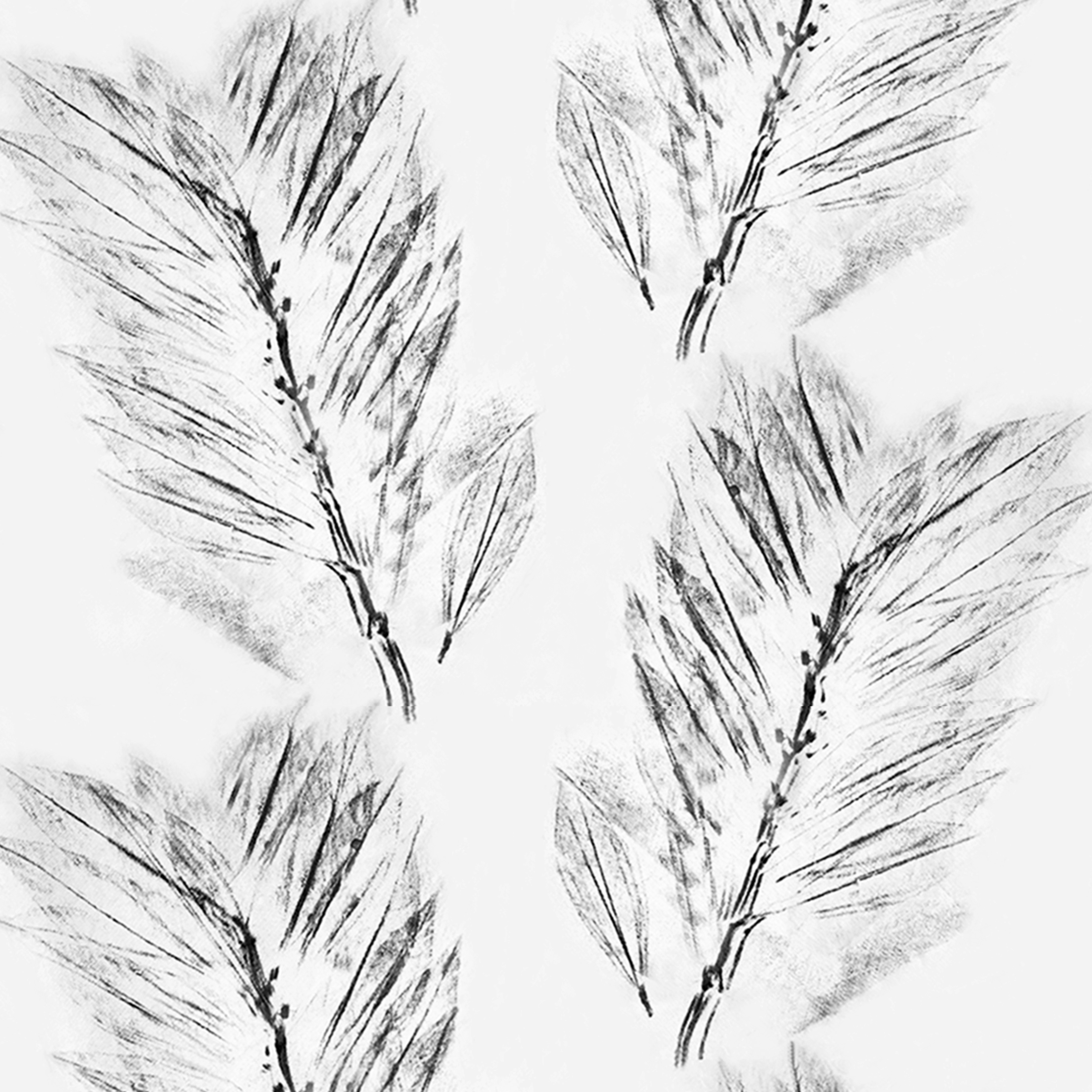 Feather leaves BW 2 8.29 memo.png