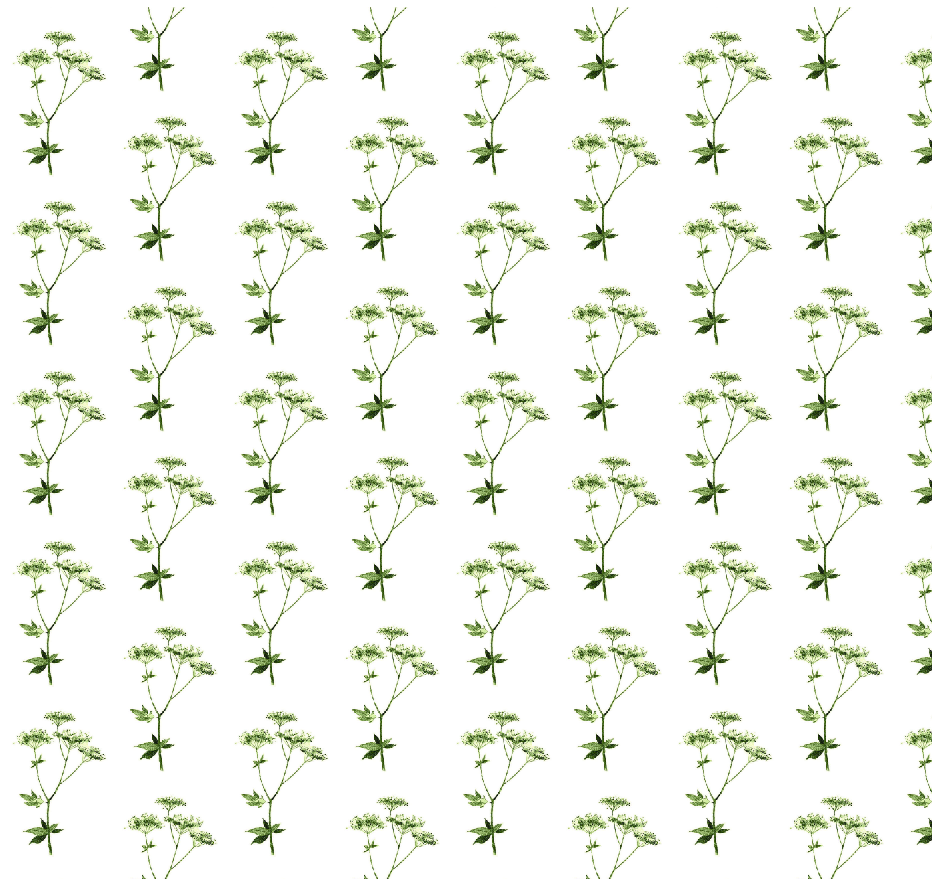 Lace herb tile.png