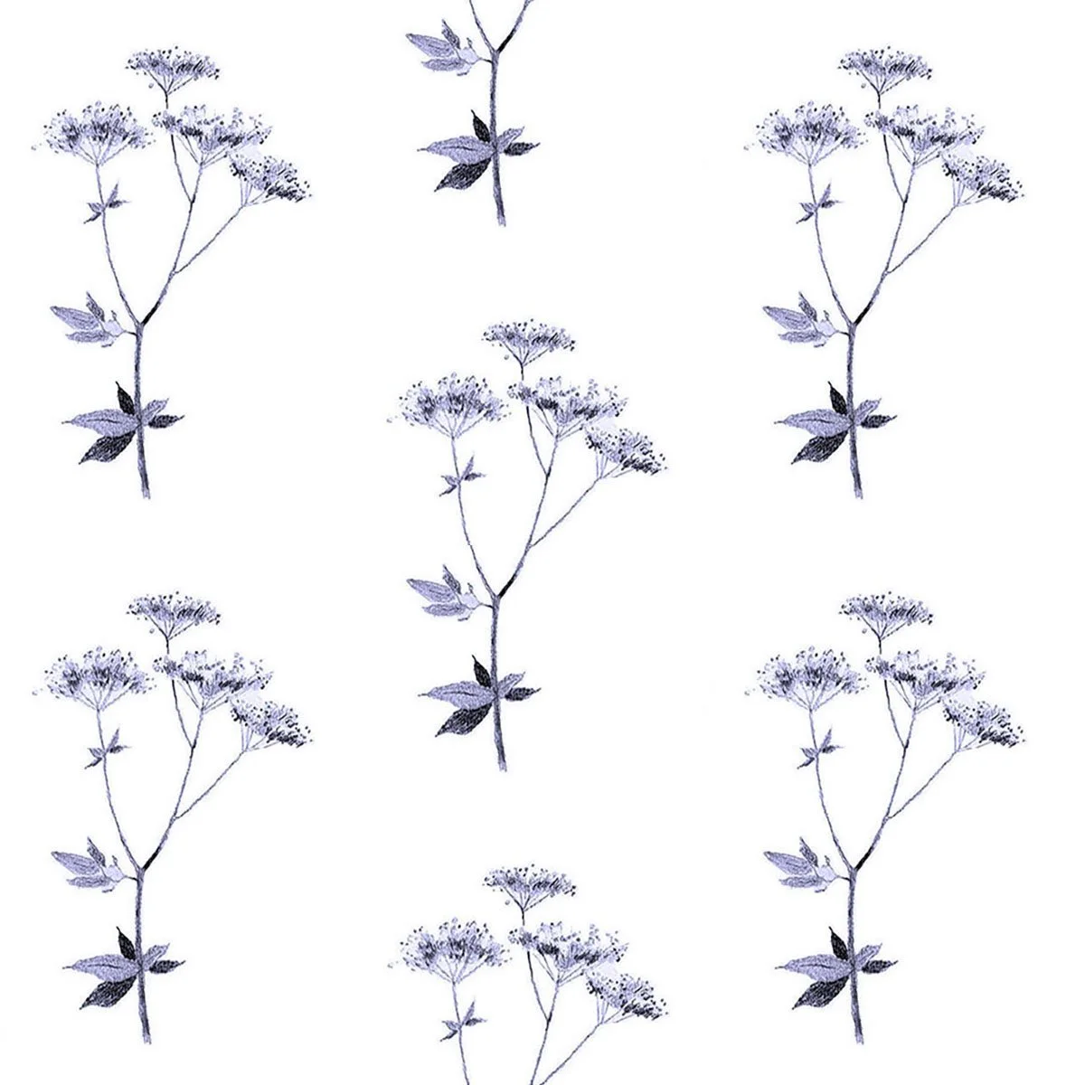 Lace rich peri 5.27 memo-01.jpg