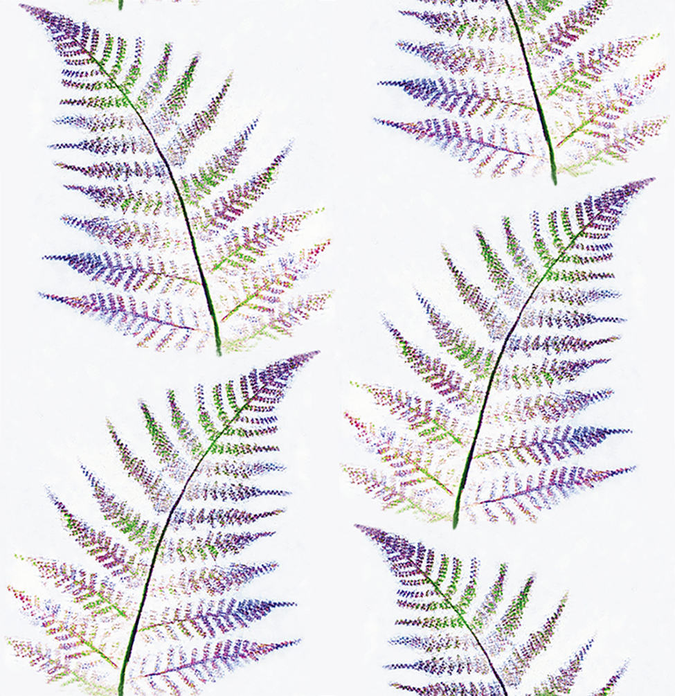 Fern in royal-6.5.png